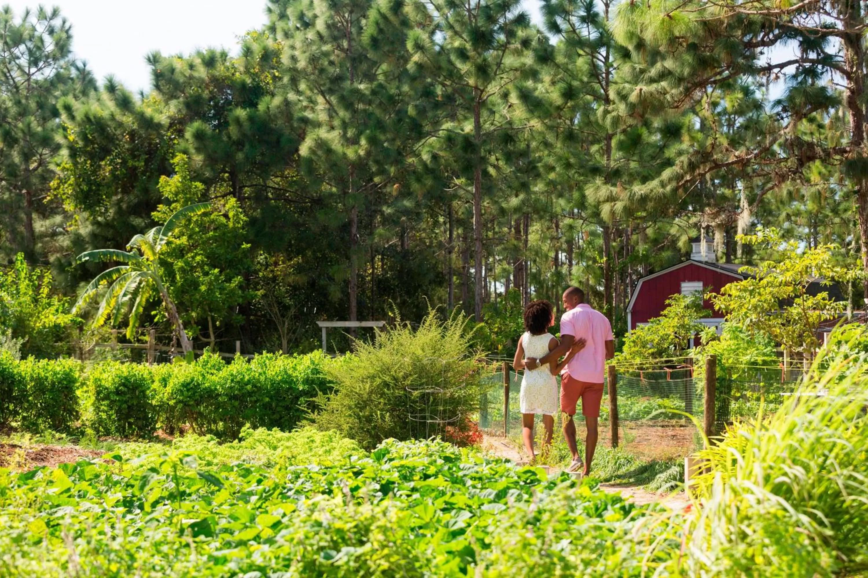Other in The Ritz-Carlton Orlando, Grande Lakes