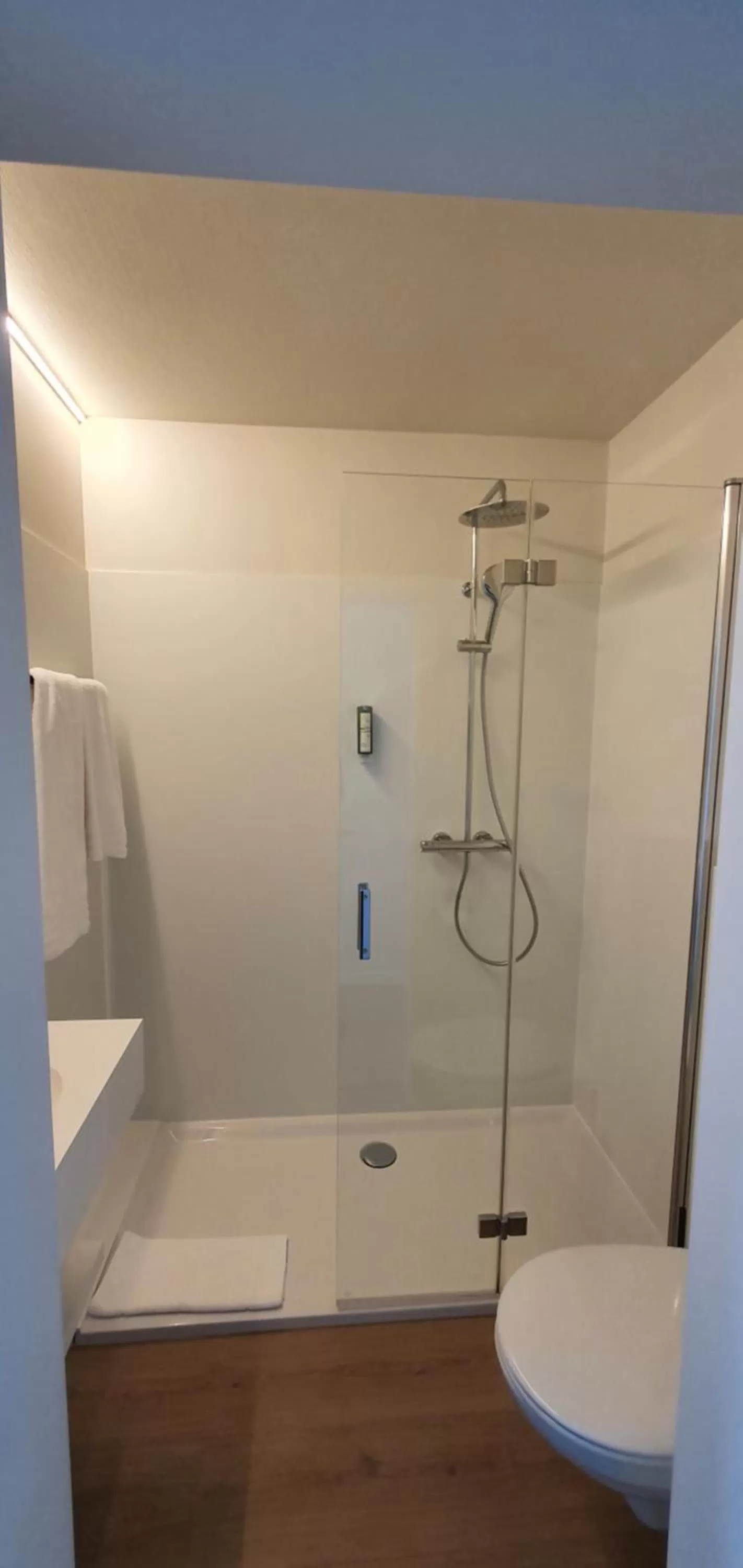 Shower, Bathroom in Hotel du Bassin