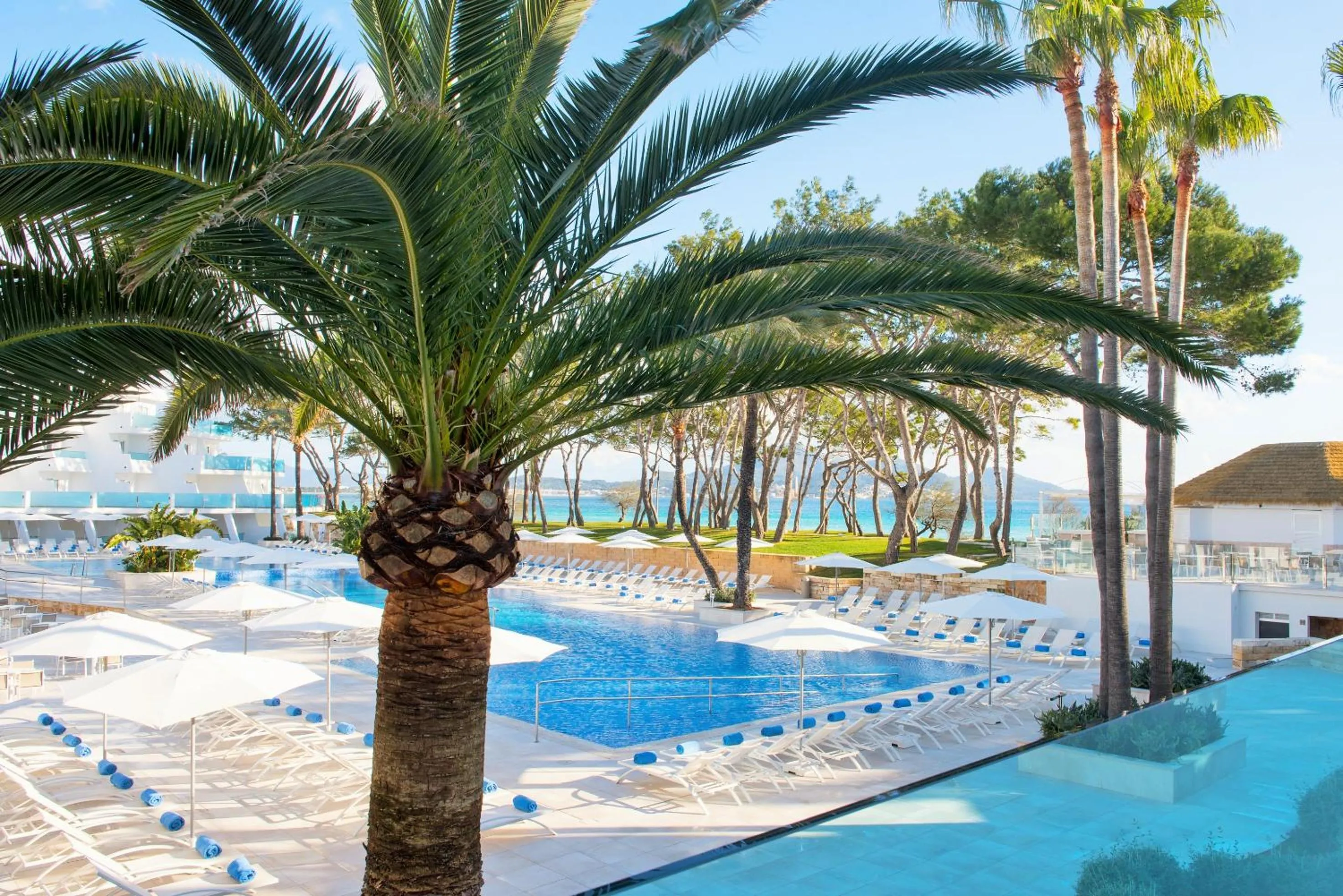 Swimming pool in Iberostar Waves Playa de Muro