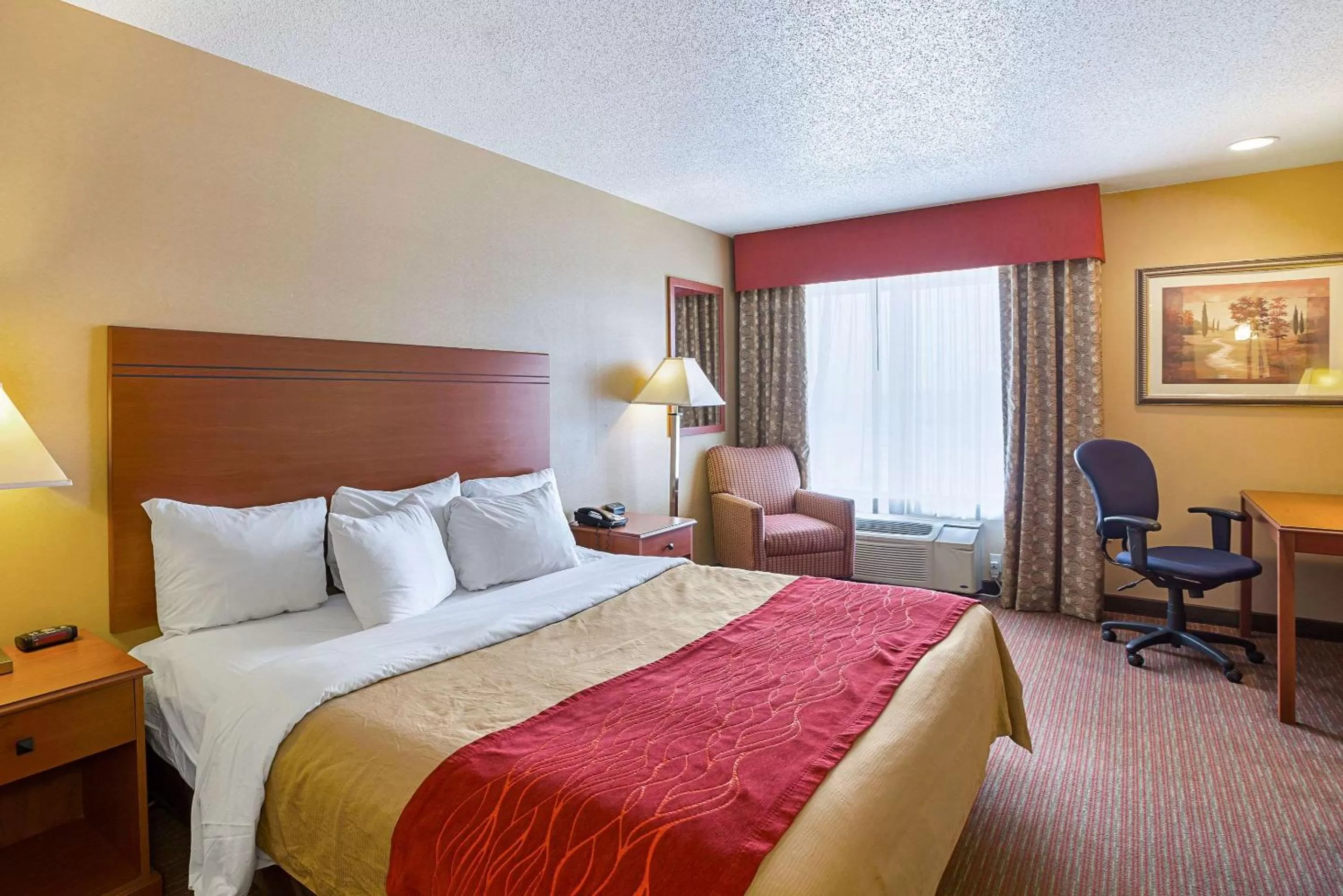 Photo of the whole room, Bed in Quality Inn York