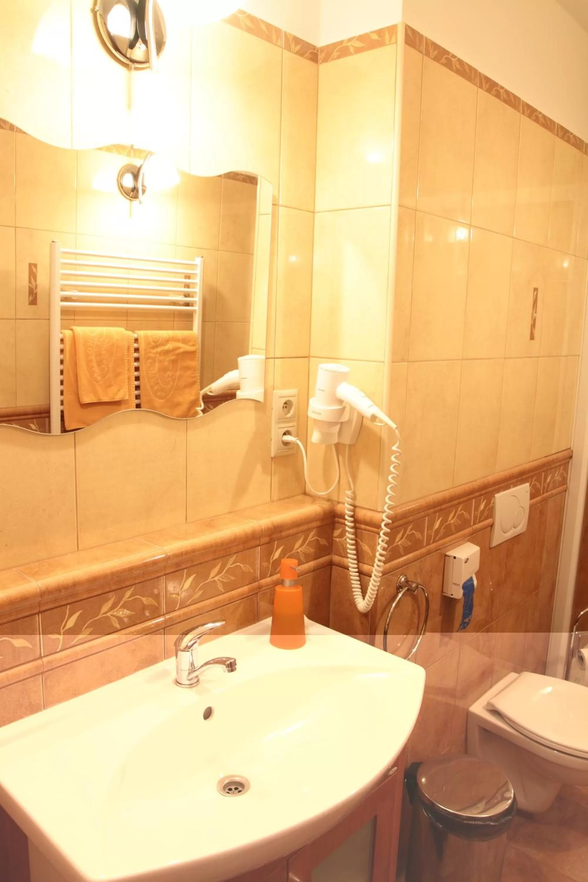 Bathroom in Hotel Lipa