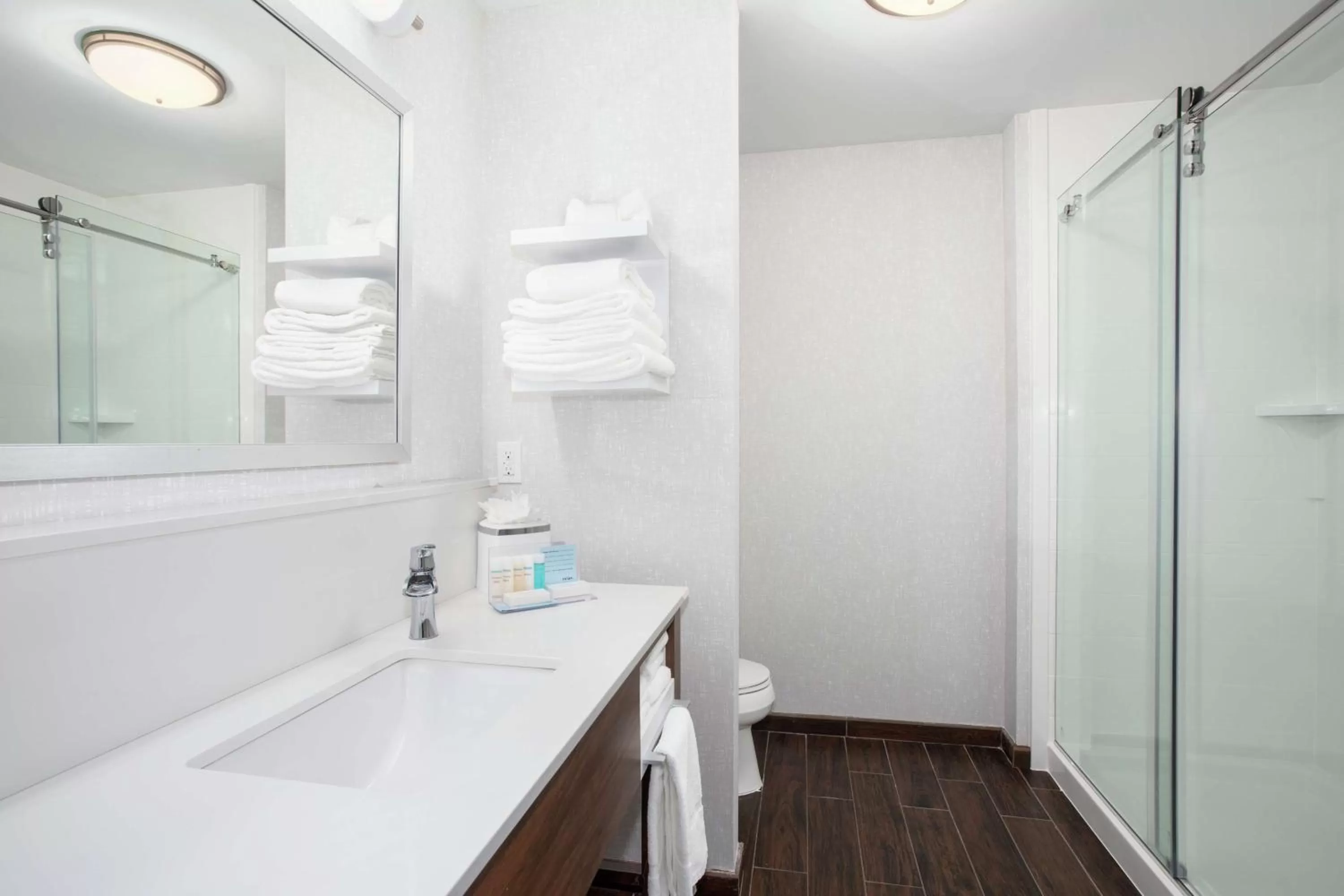 Bathroom in Hampton Inn Bellevue