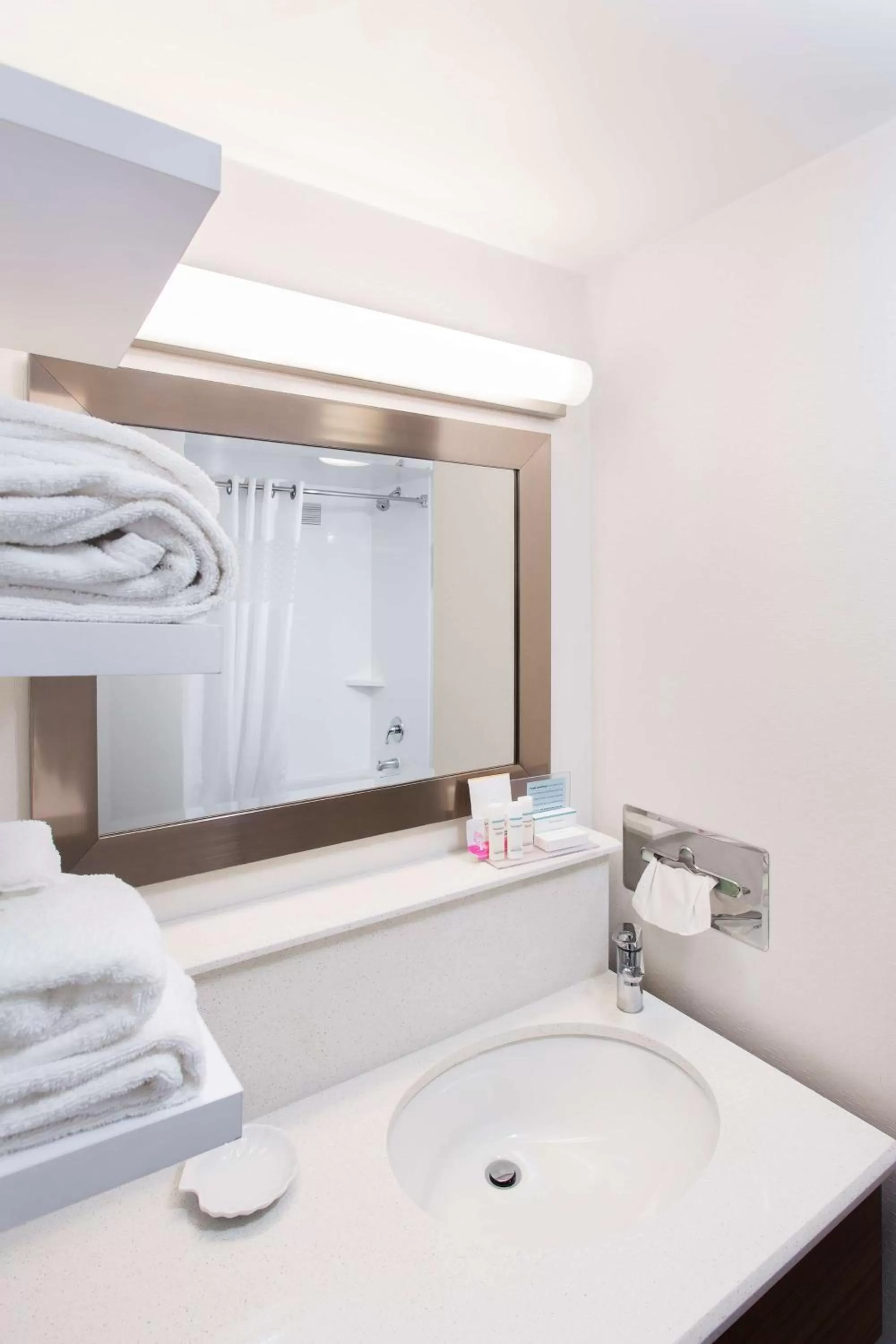 Bathroom in Hampton Inn Troy