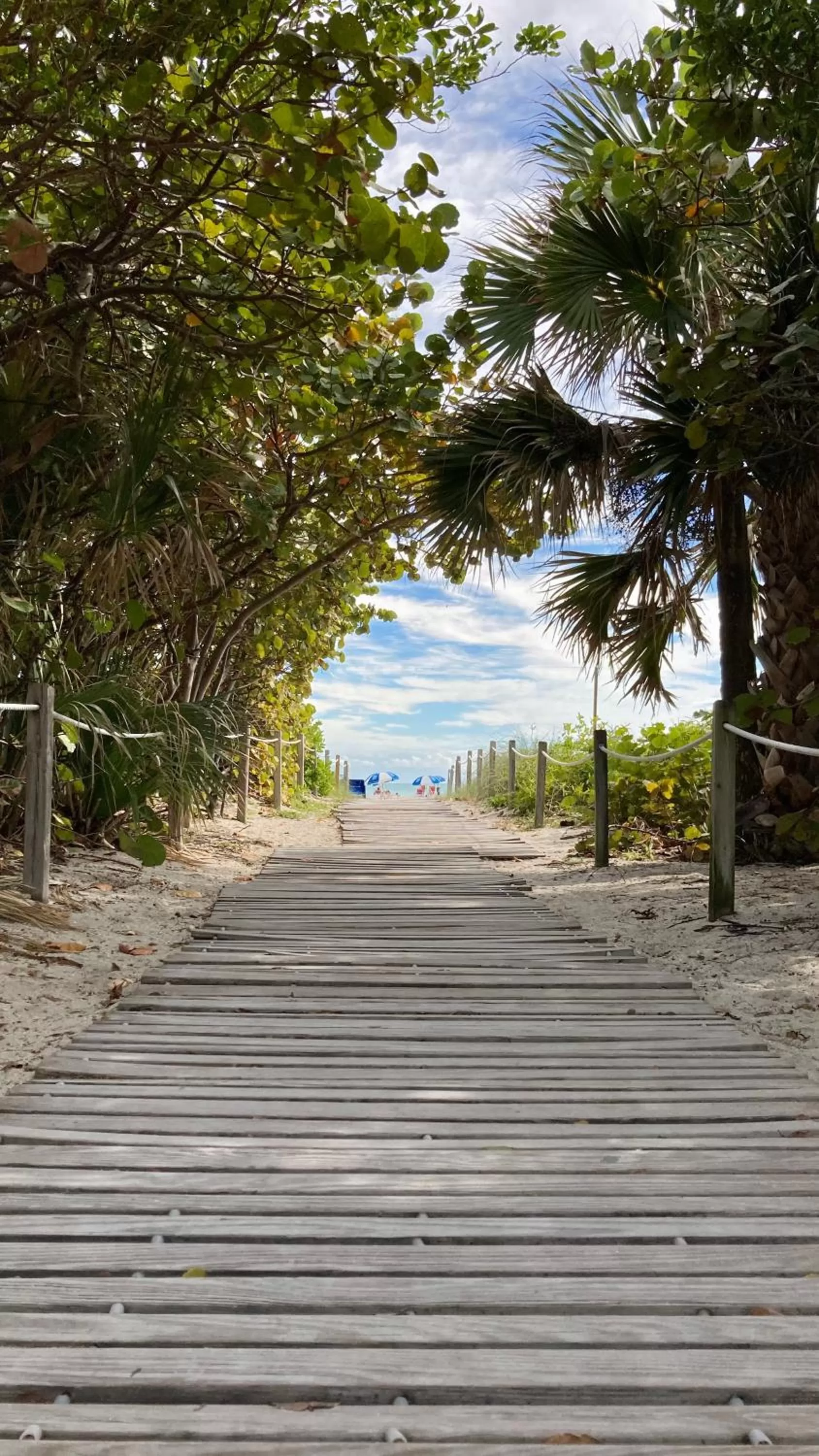 Beach in Suites at The Strand on Ocean Drive