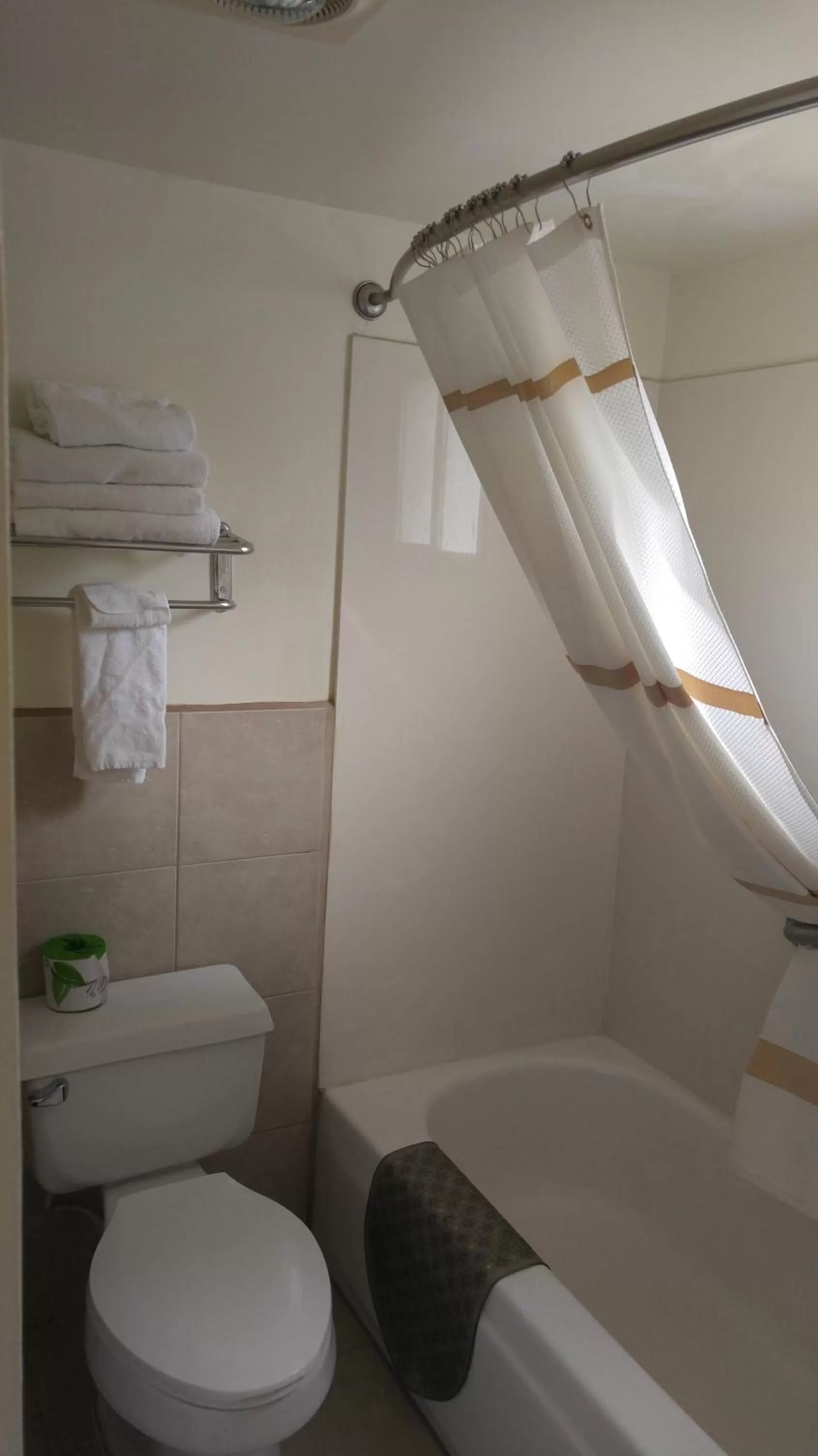 Toilet in American Regency Inn