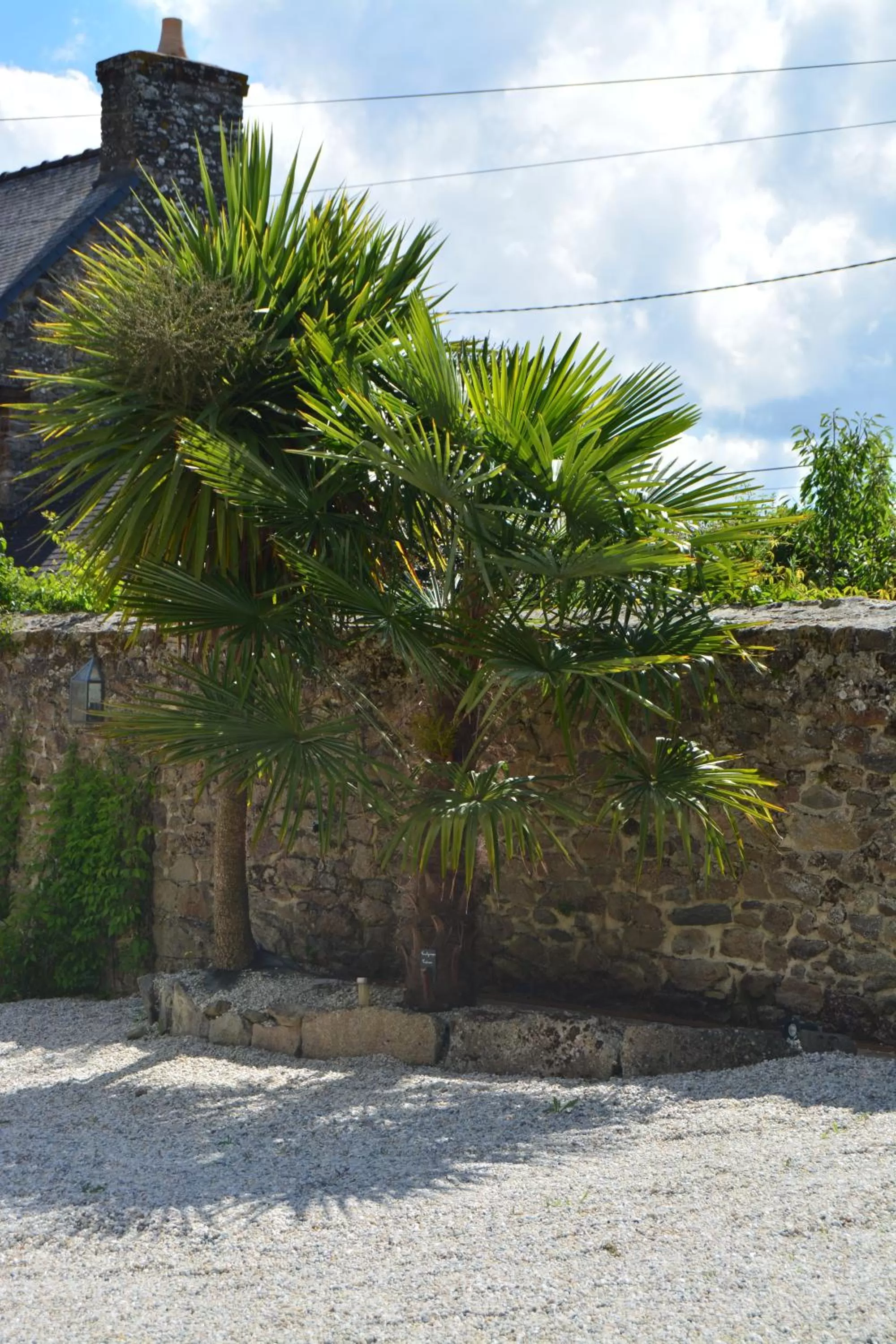 Garden in Lebeau Repos