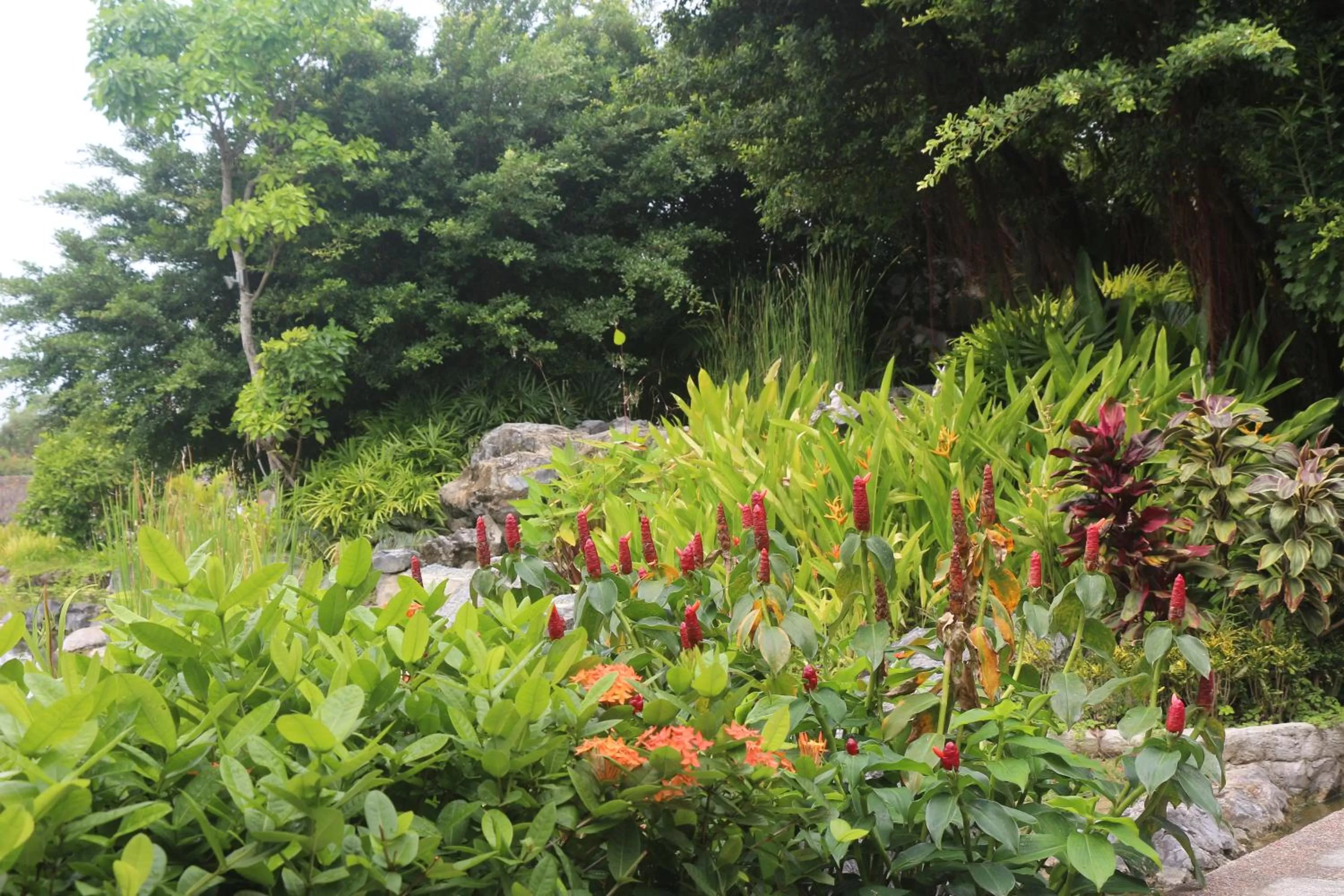Garden in Try Palace Resort-Kep