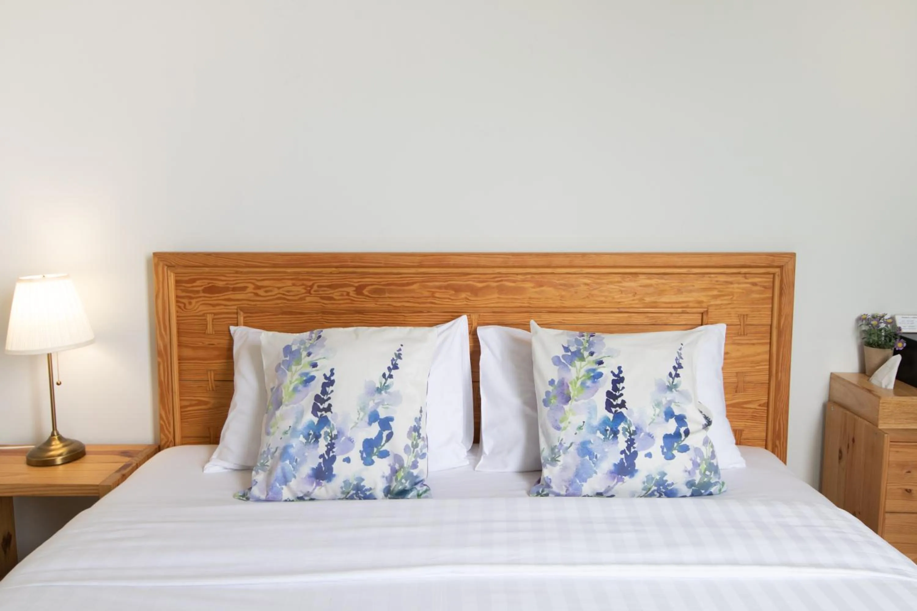 Bed in Latima Boutique Hostel