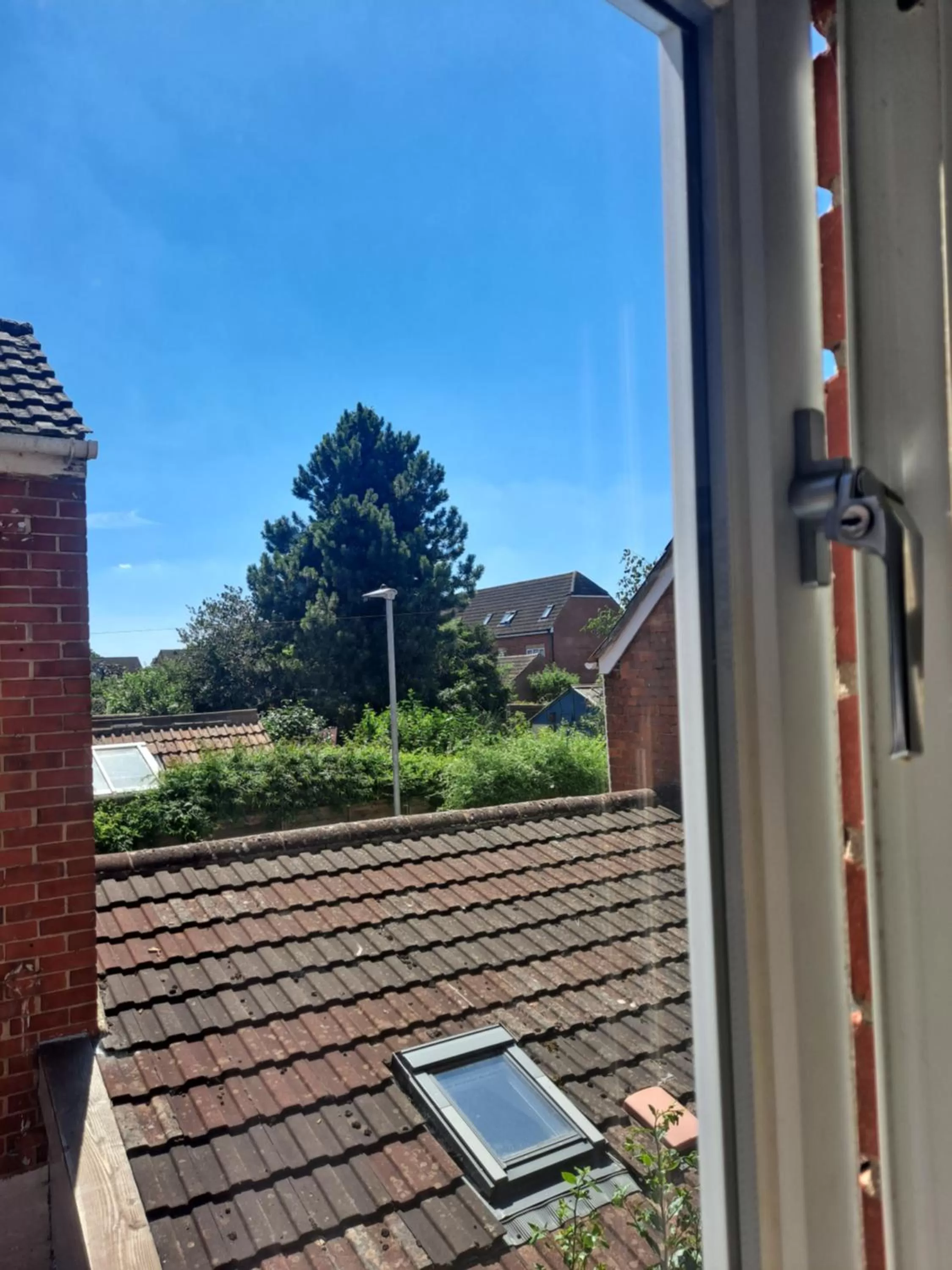 Pilgrims of the Goddess