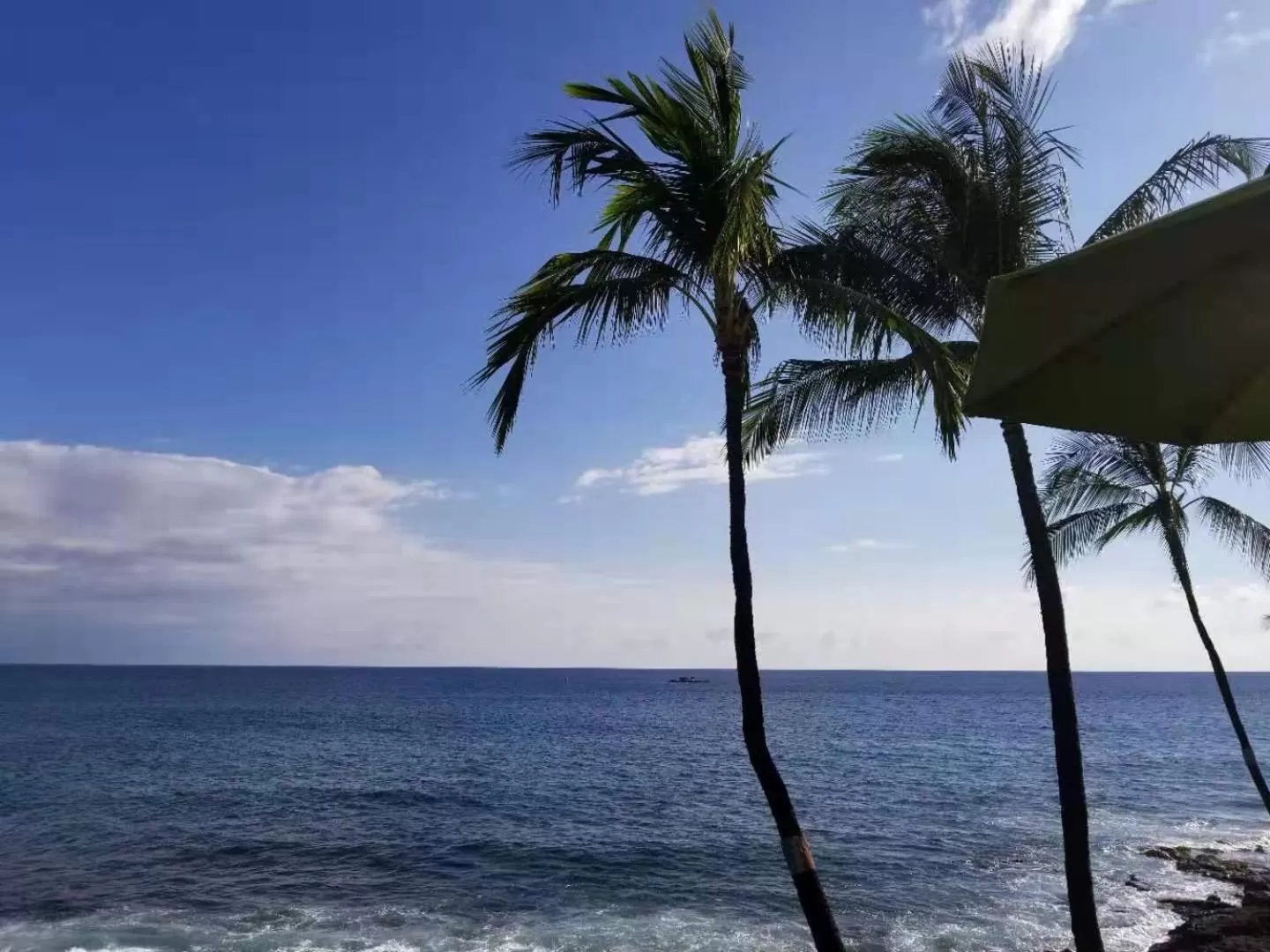 Beach in Volcano Forest Inn
