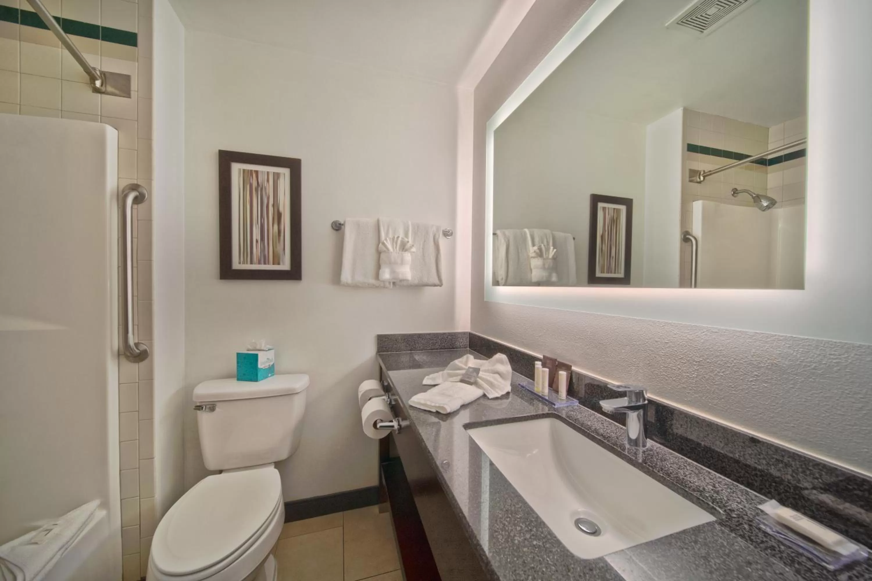 Bathroom in Wingate by Wyndham and Williamson Conference Center