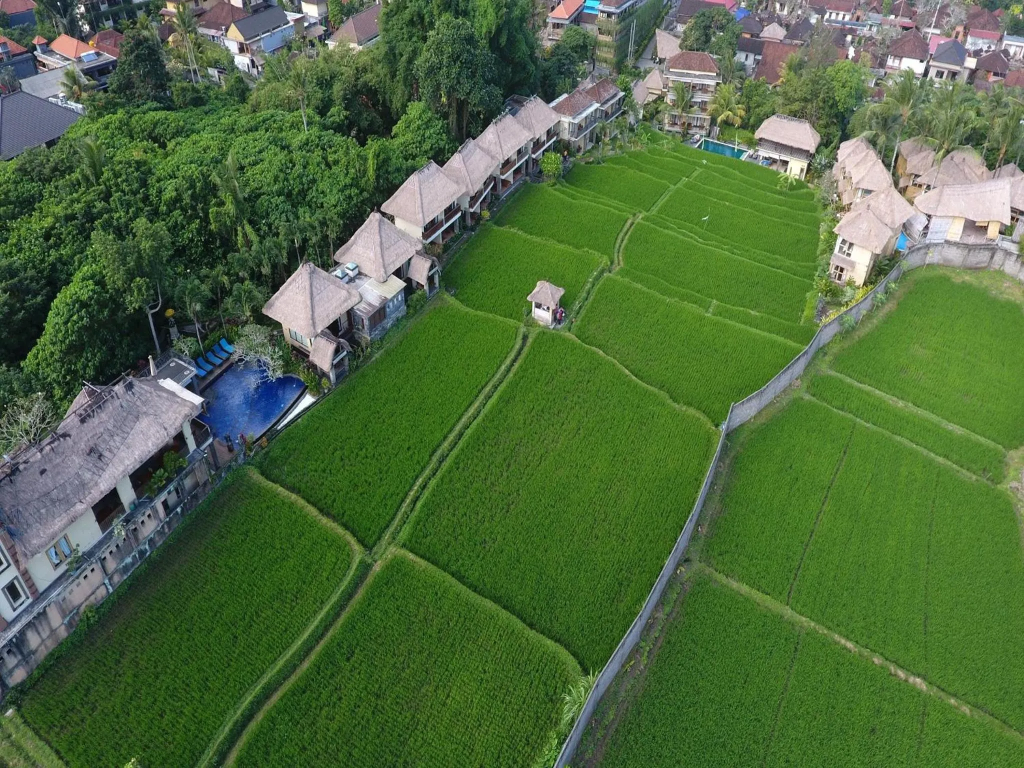 View (from property/room) in Biyukukung Suite & Spa