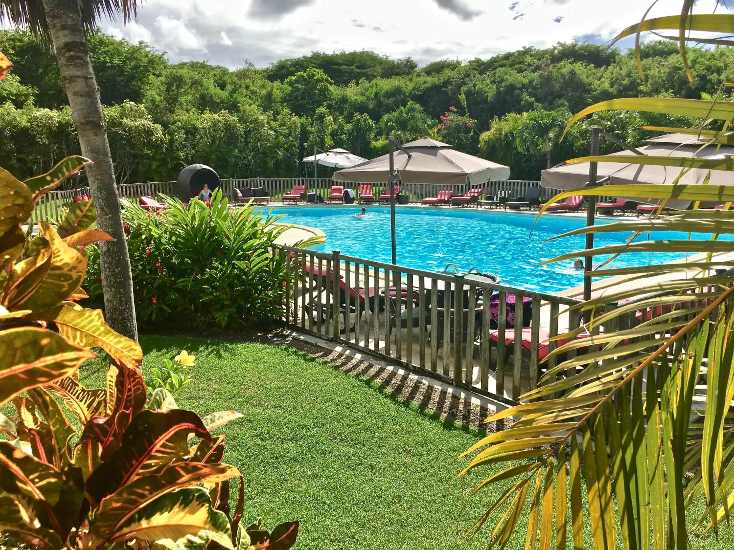 Swimming pool in Résidence Le Vallon Guadeloupe Parc Piscine Appartements & Studios
