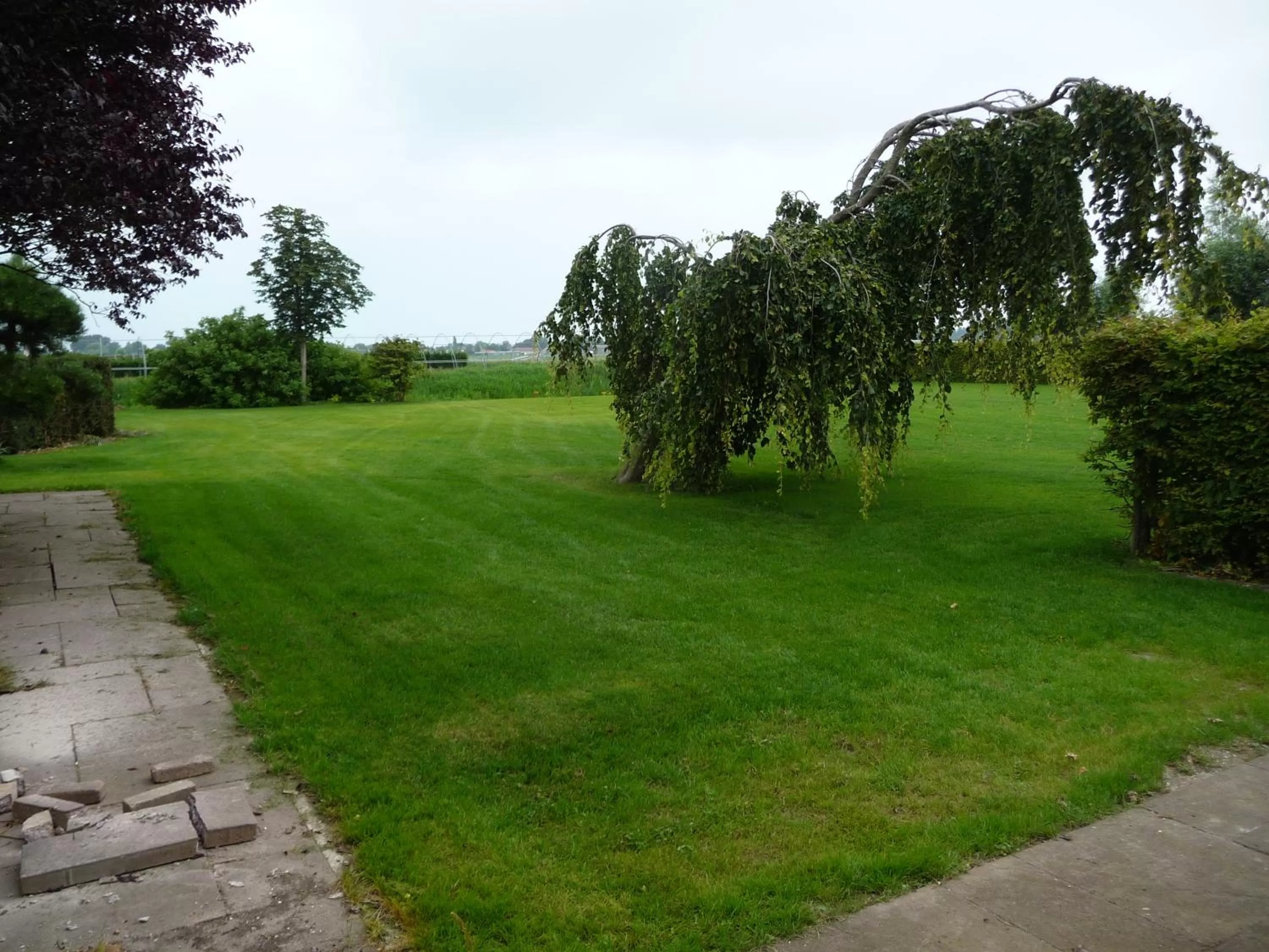 Garden in B&B “Te Warskip bij BlokVis”