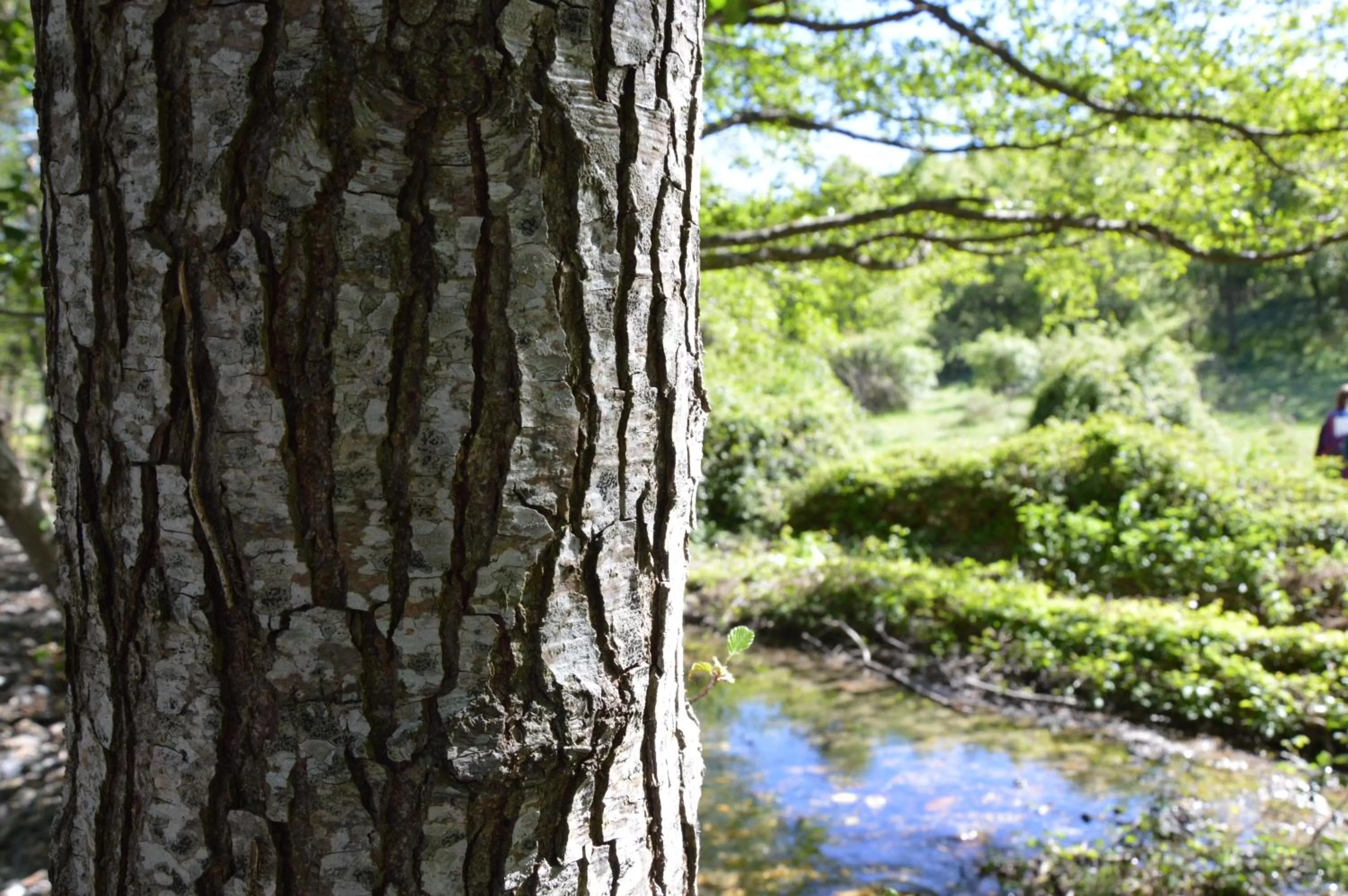 Nearby landmark, Natural Landscape in B&B La Genziana