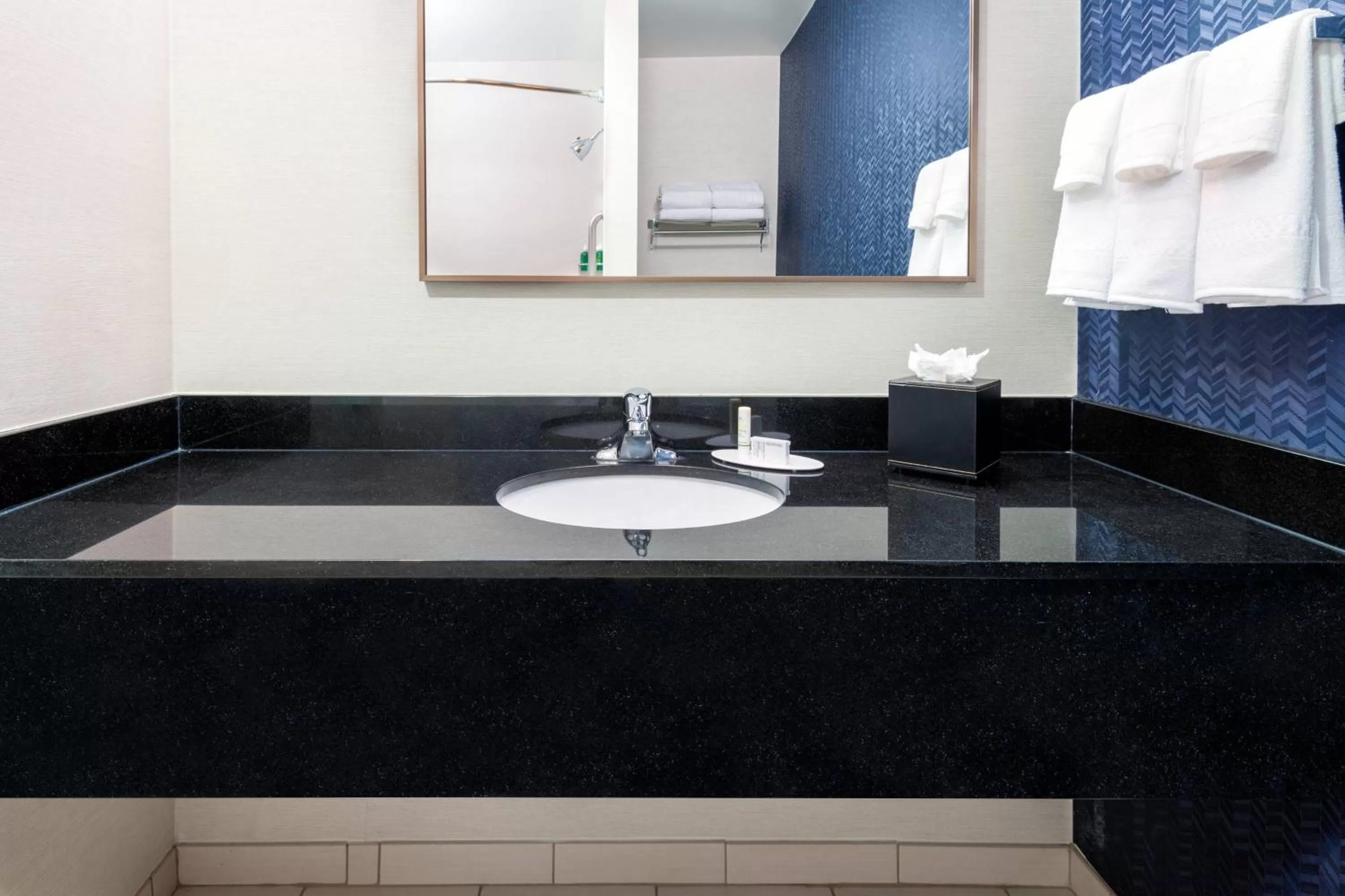 Bathroom in Fairfield Inn and Suites by Marriott Clearwater