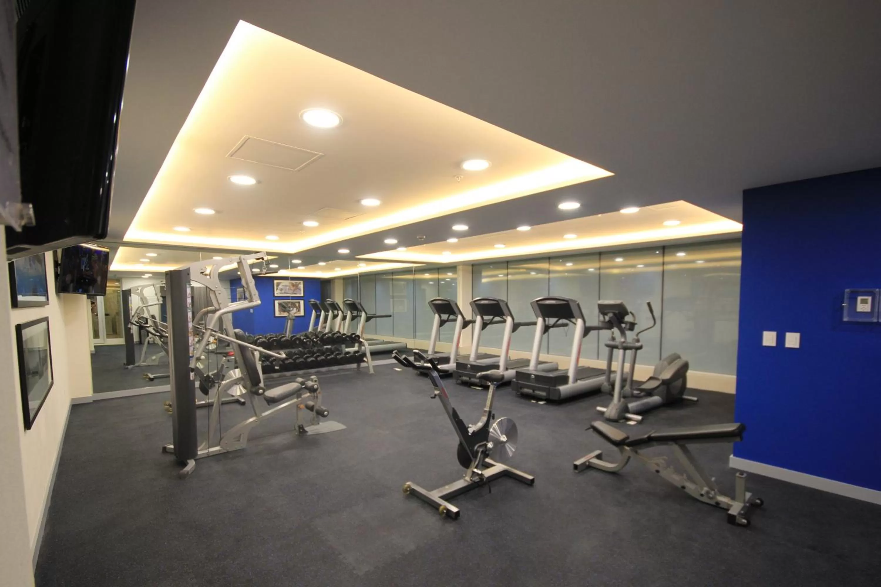 Fitness centre/facilities in Holiday Inn & Suites Plaza Mayor by IHG