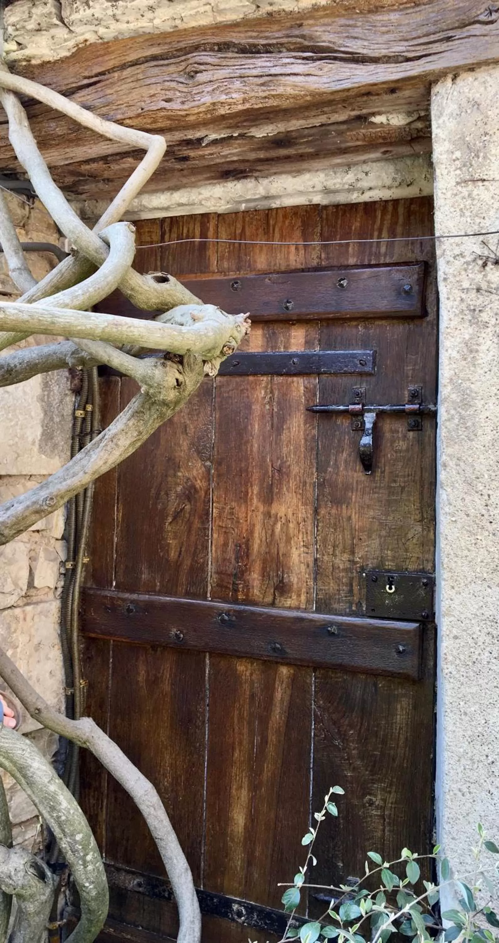 Garden in La maison de Montaboulin