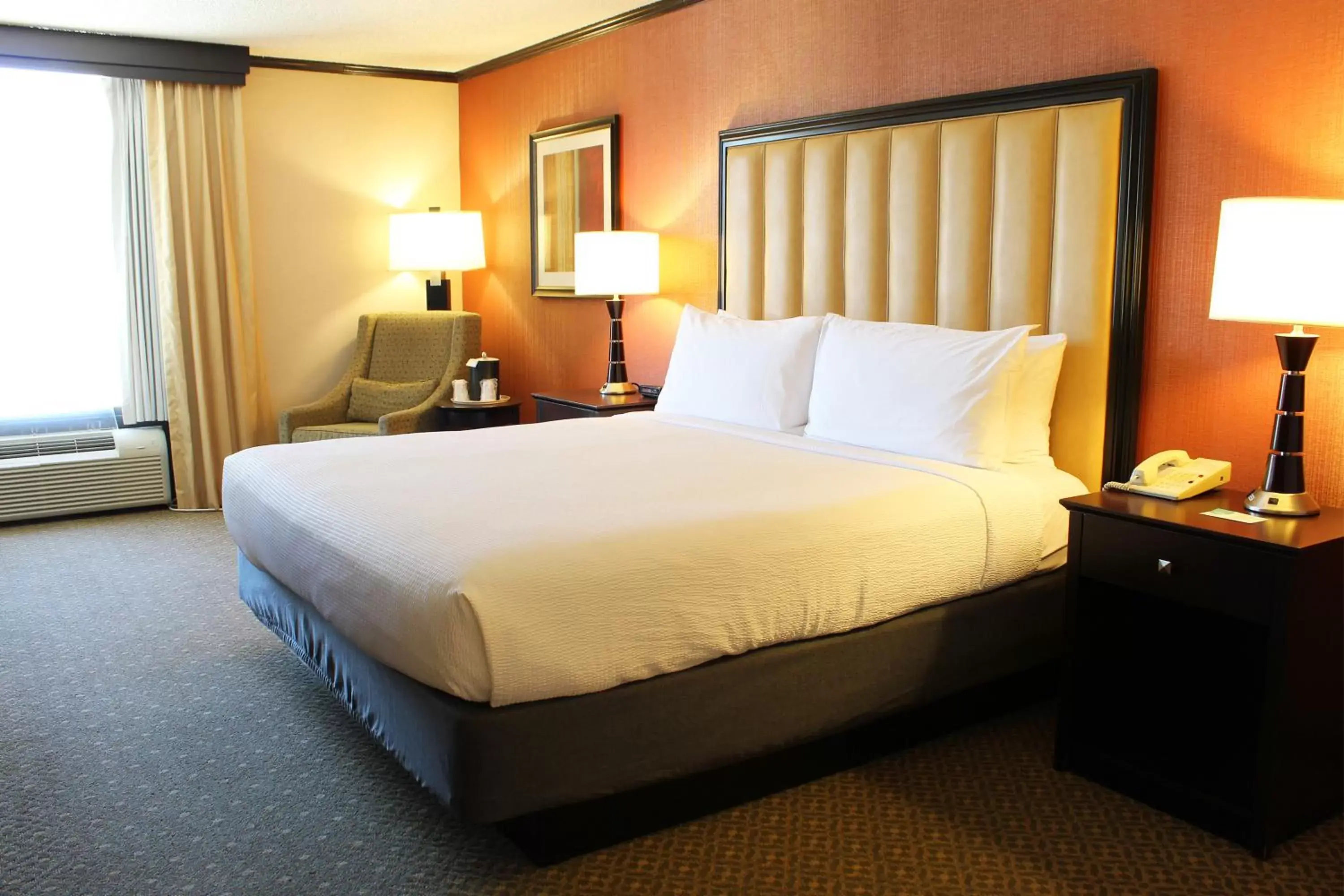 King Room - Disability Access in Hotel Burbank King Room - Disability Access in Hotel Burbank