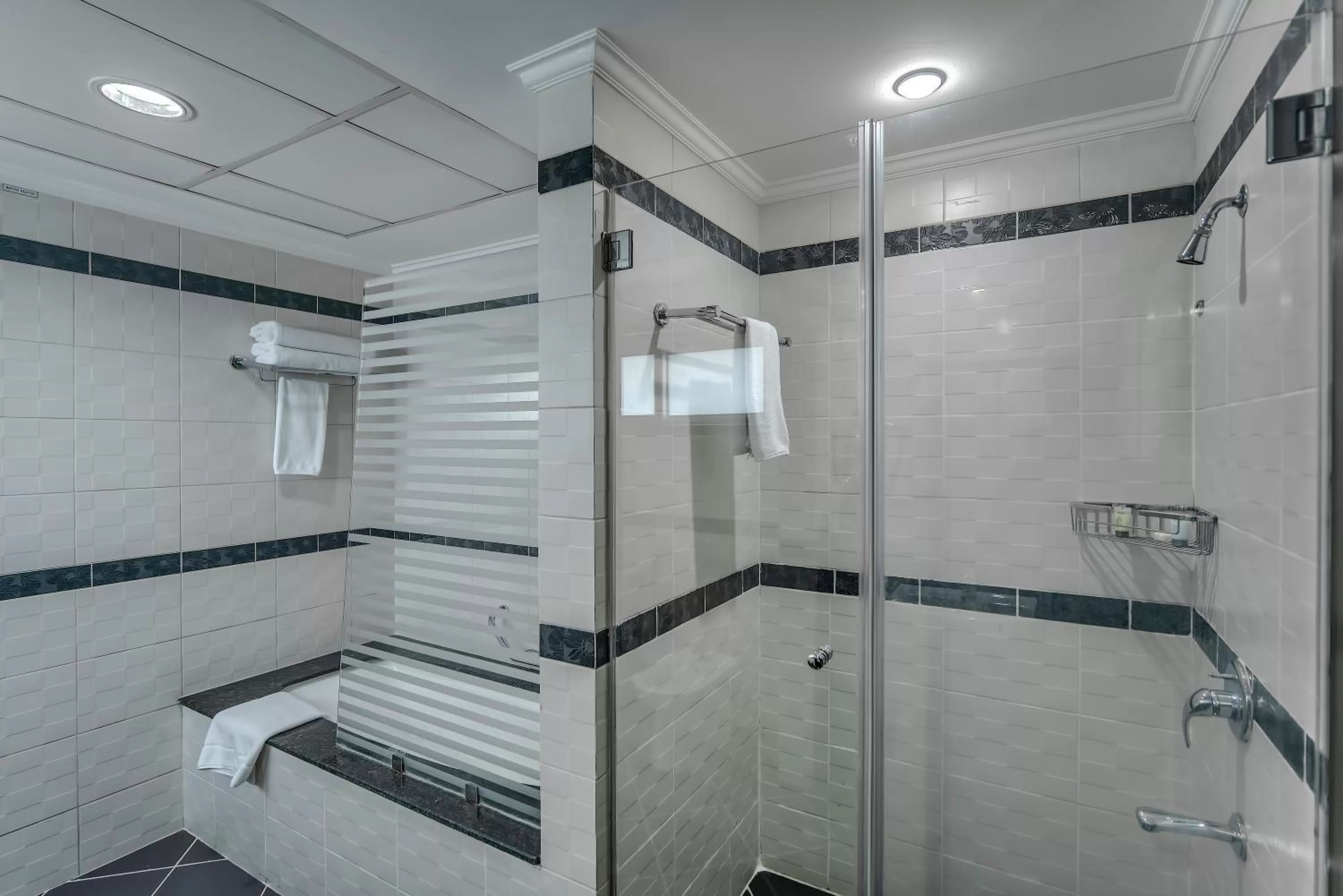 Bathroom in Icon Delux Hotel Apartments Al Barsha - Formerly Abidos