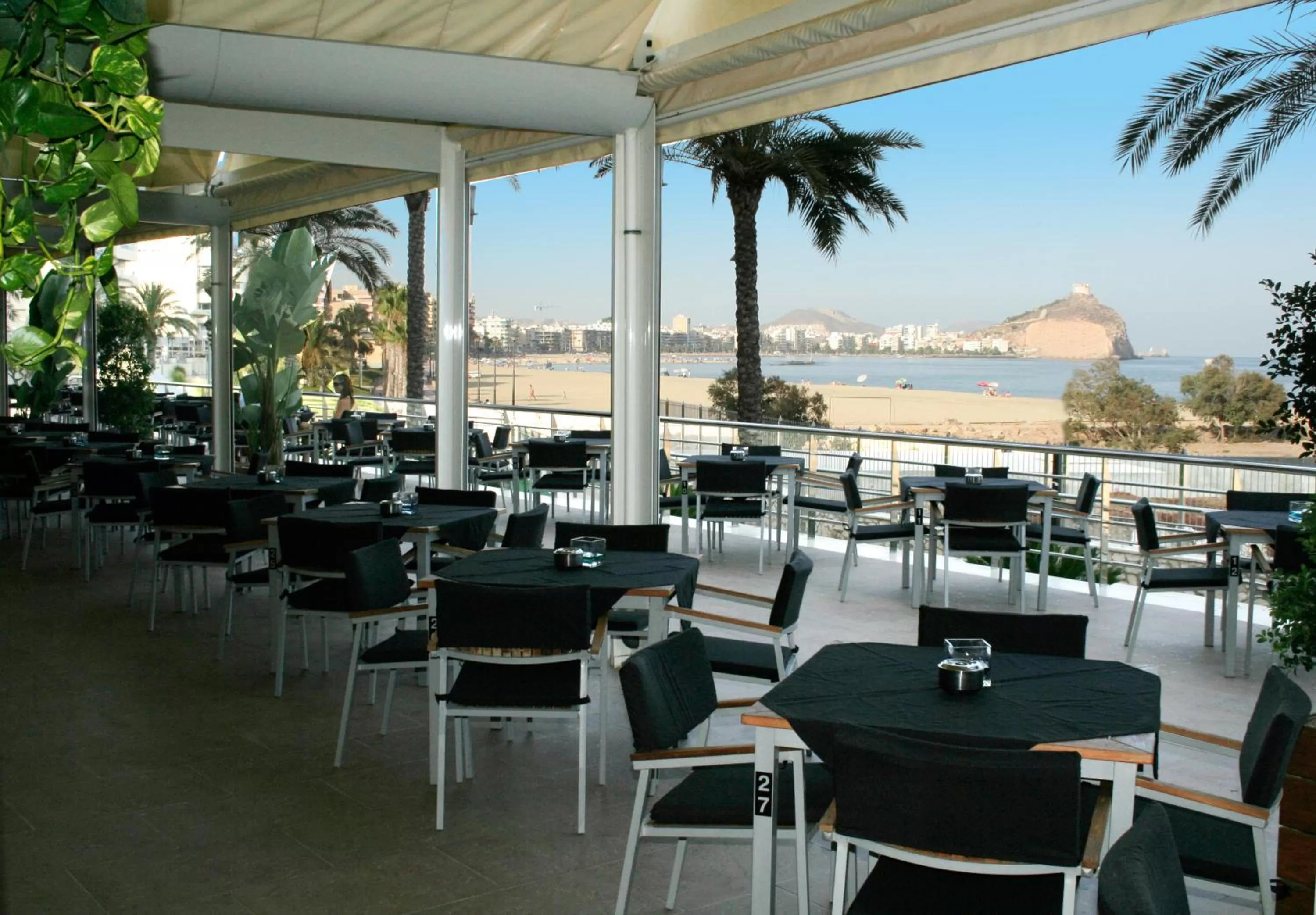 Lounge or bar in Senator Águilas