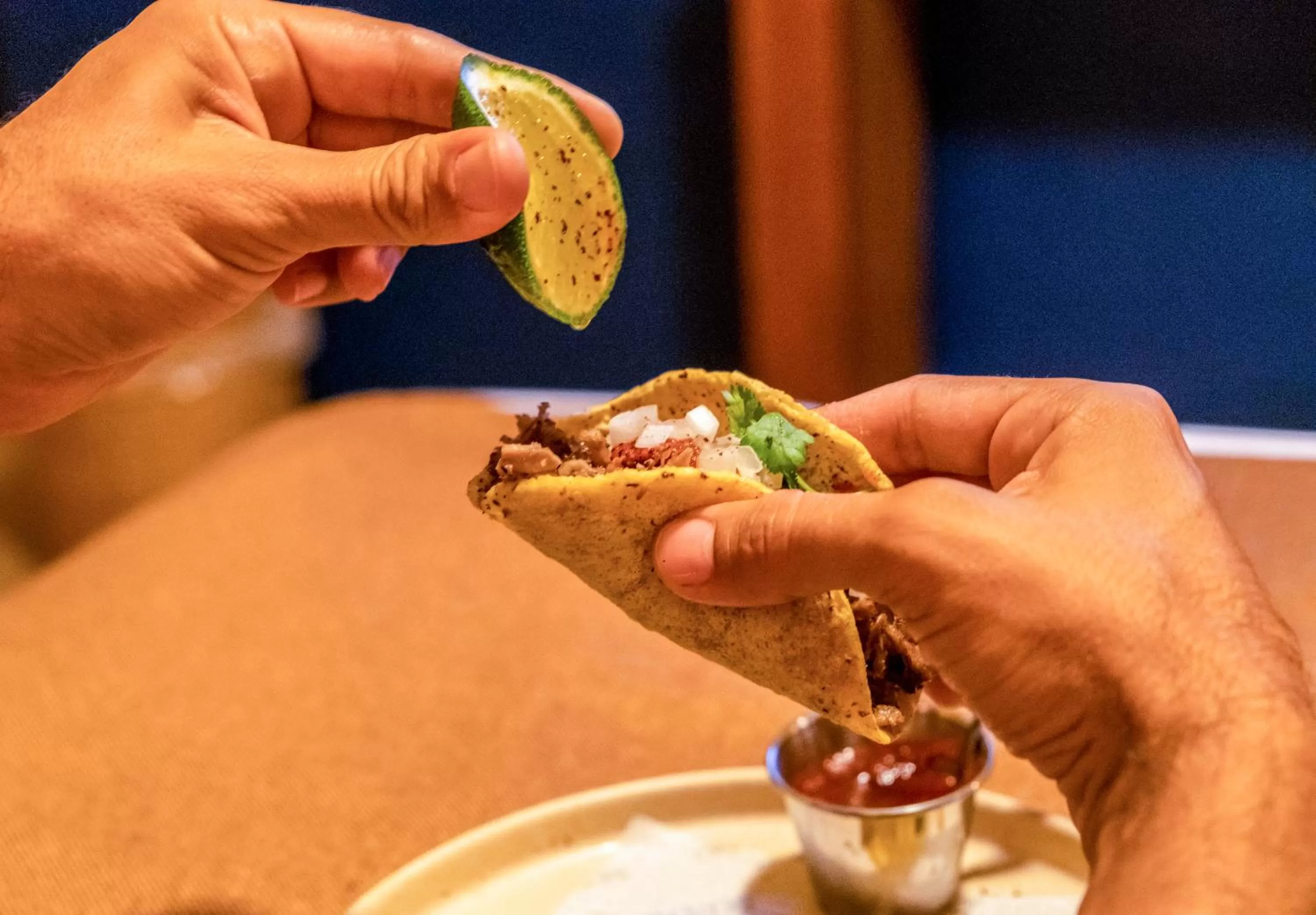 Food in Albatros by Bedsfriends