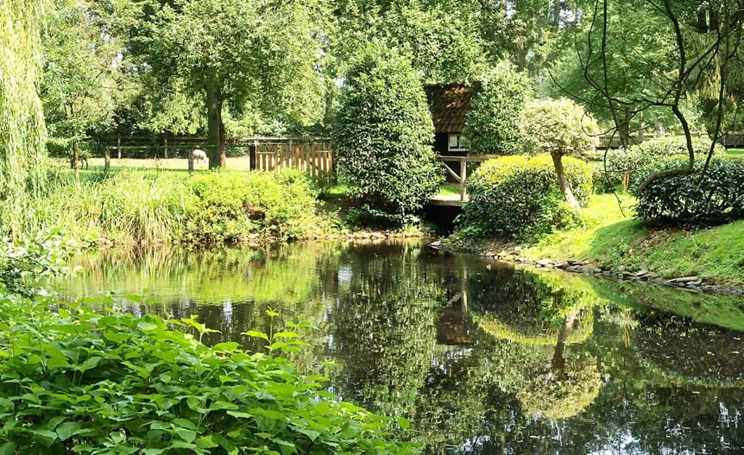 Lake view in Heidehotel Waldhütte