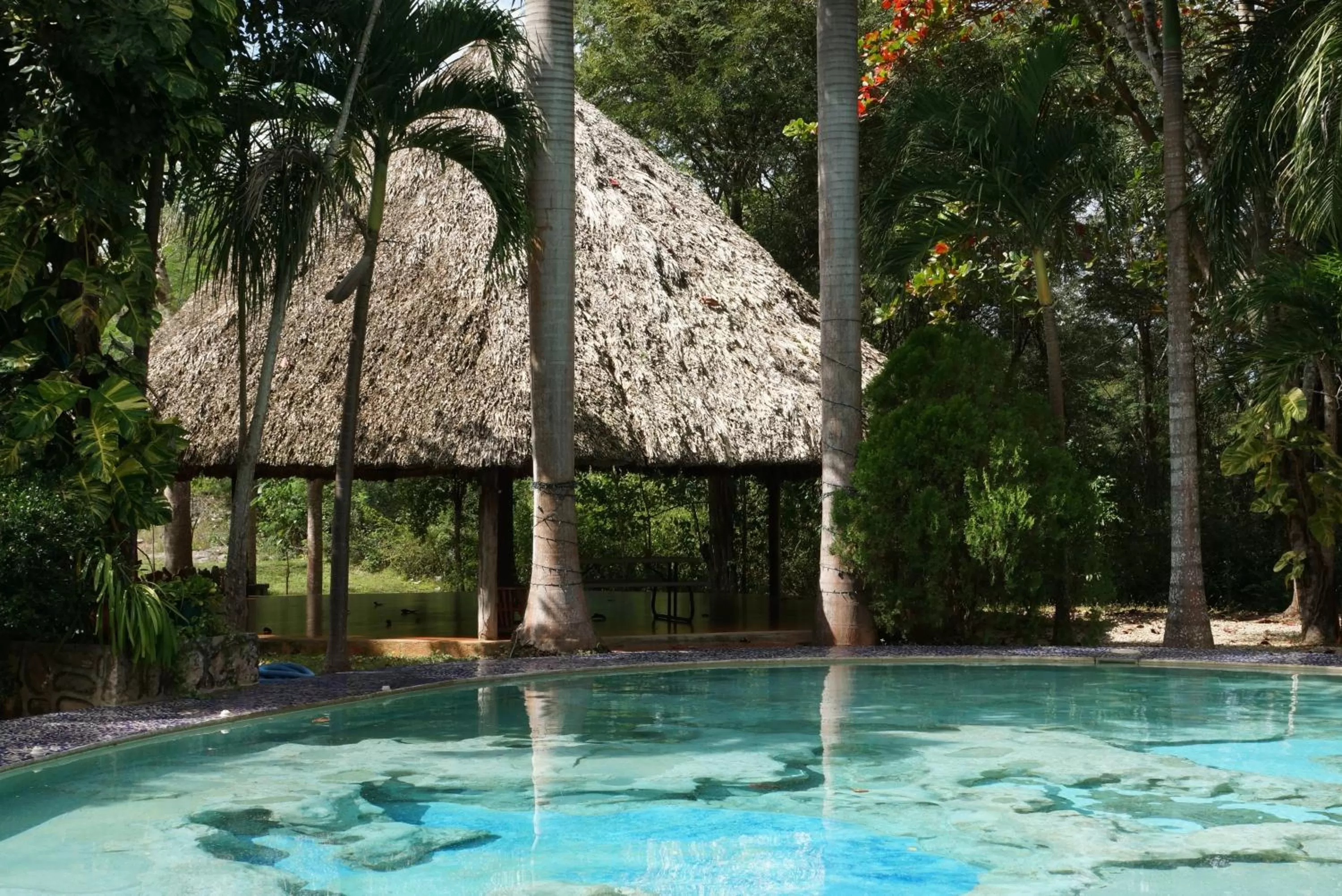 Swimming pool in Hotel Doralba Inn Chichen