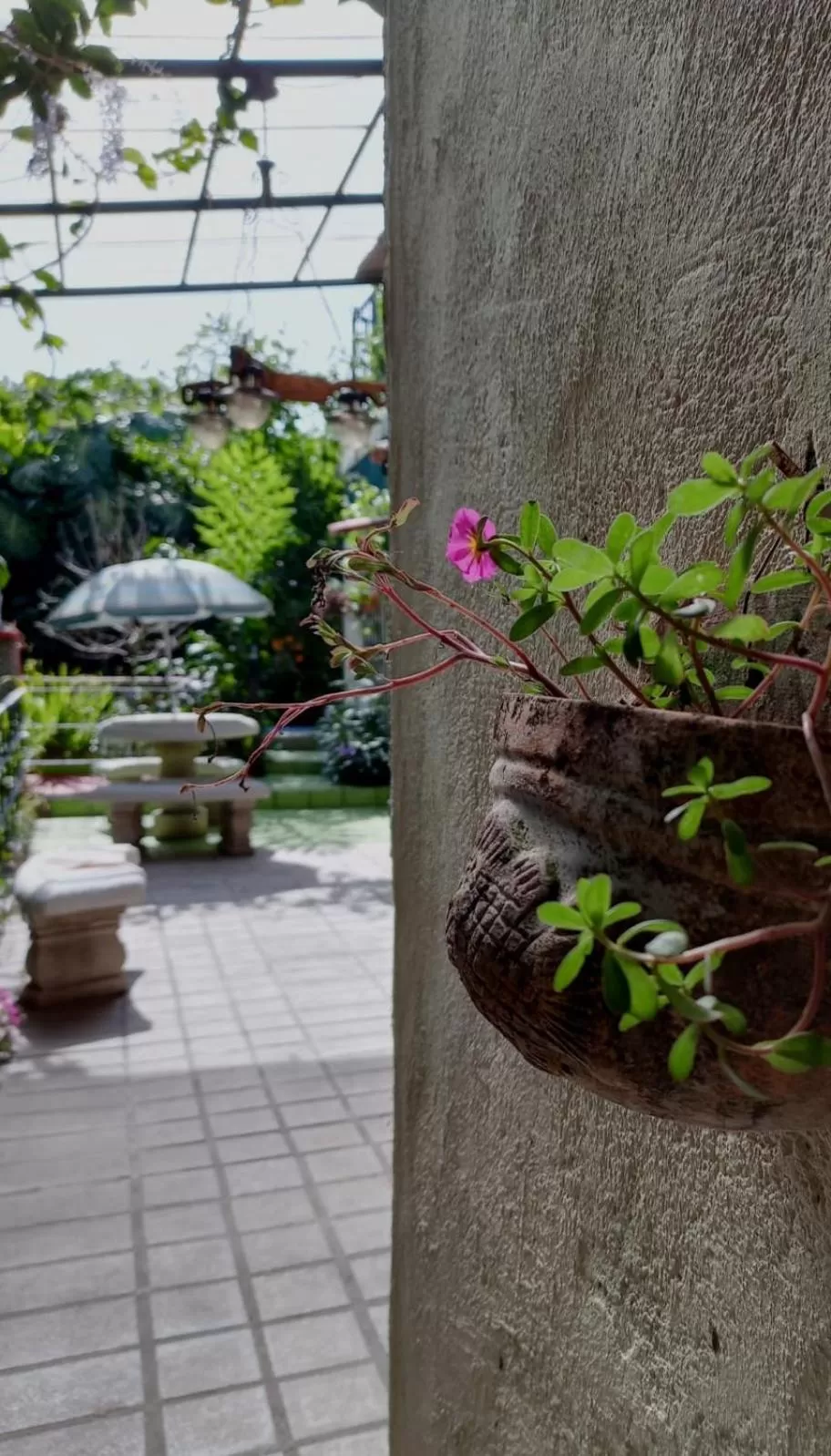 Garden in Nirvana Apartament Hostal