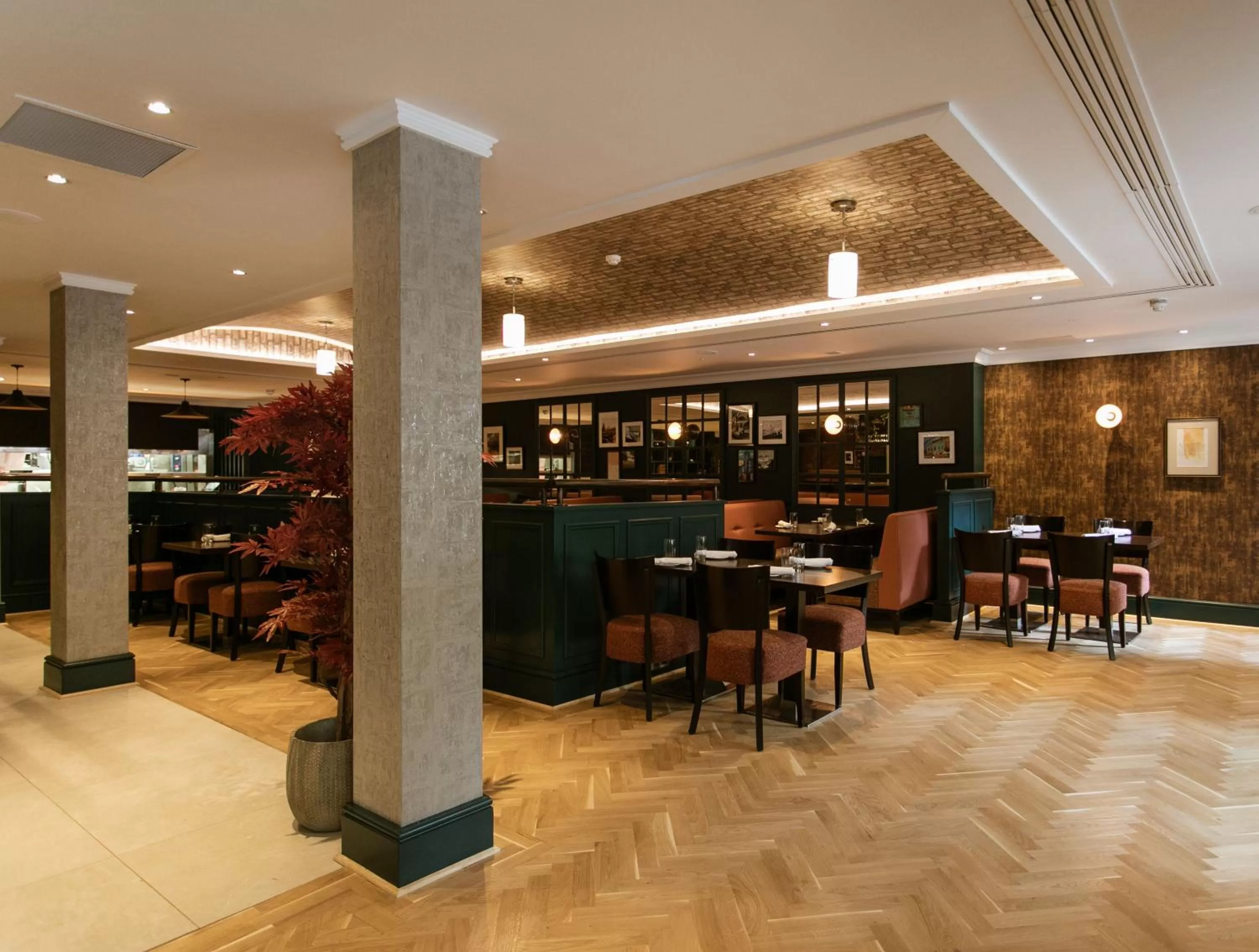 Restaurant/places to eat in The Malone Hotel