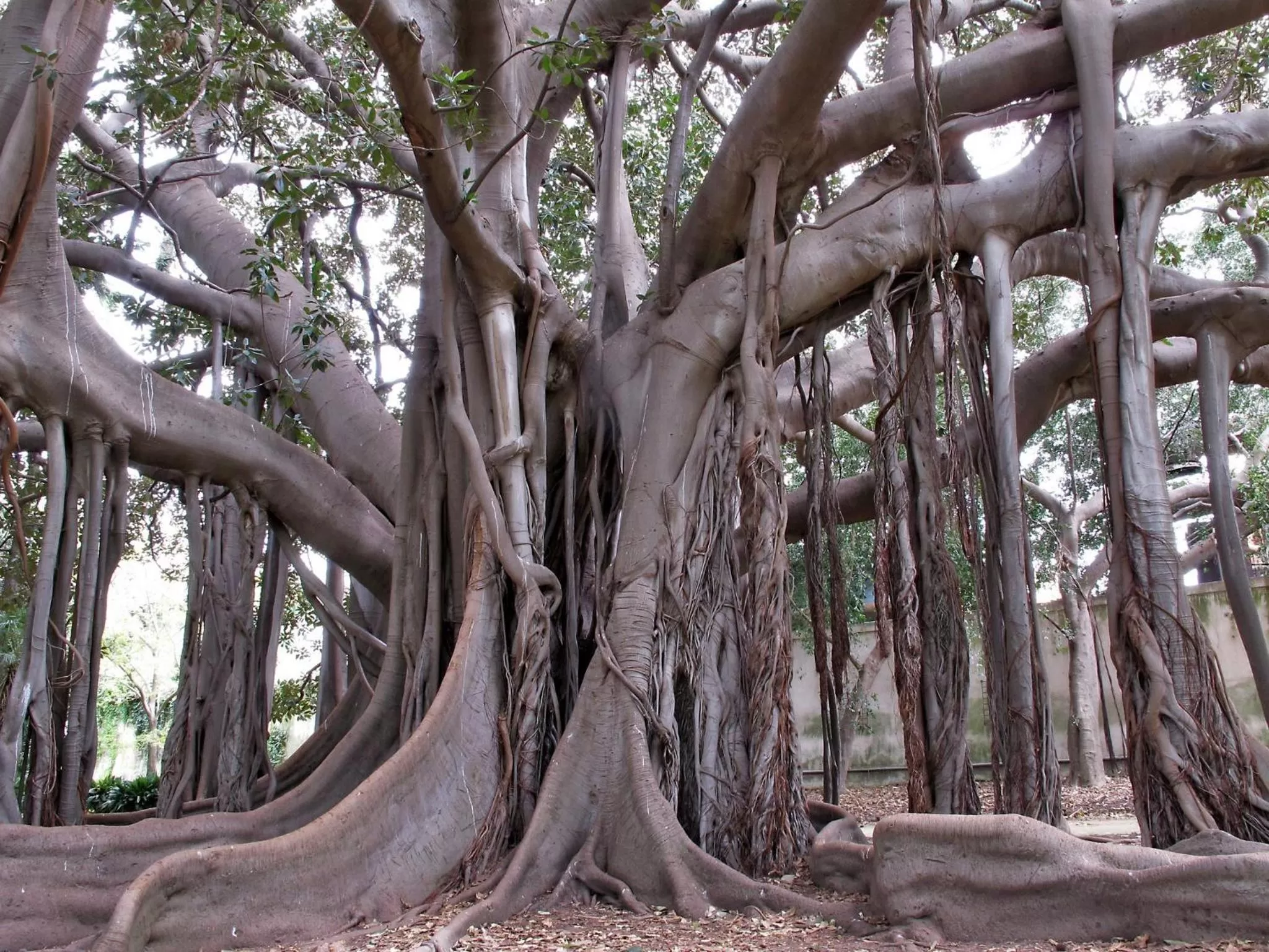 Residence Hotel Gloria