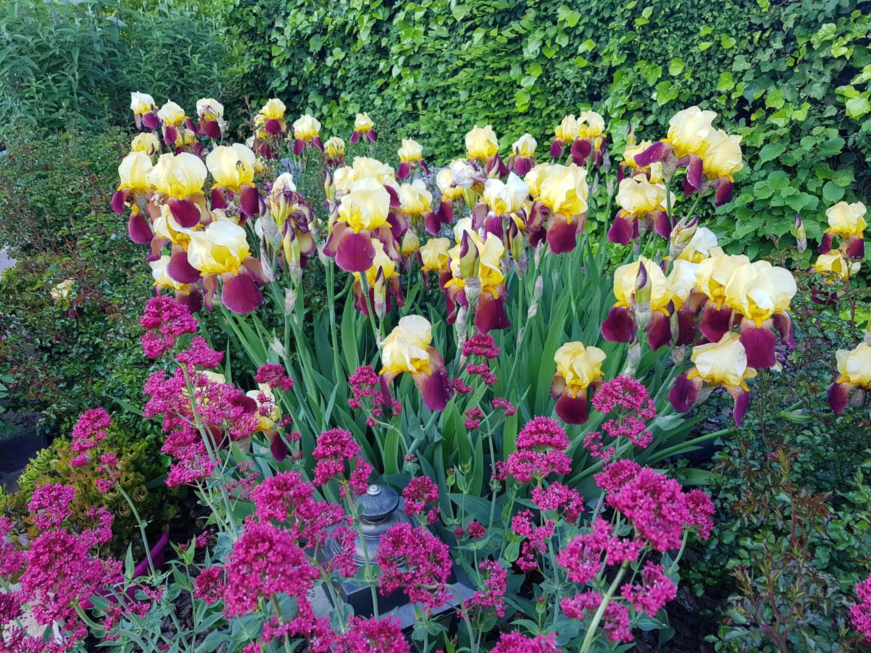 Spring in Hôtel-Logis La Coraline