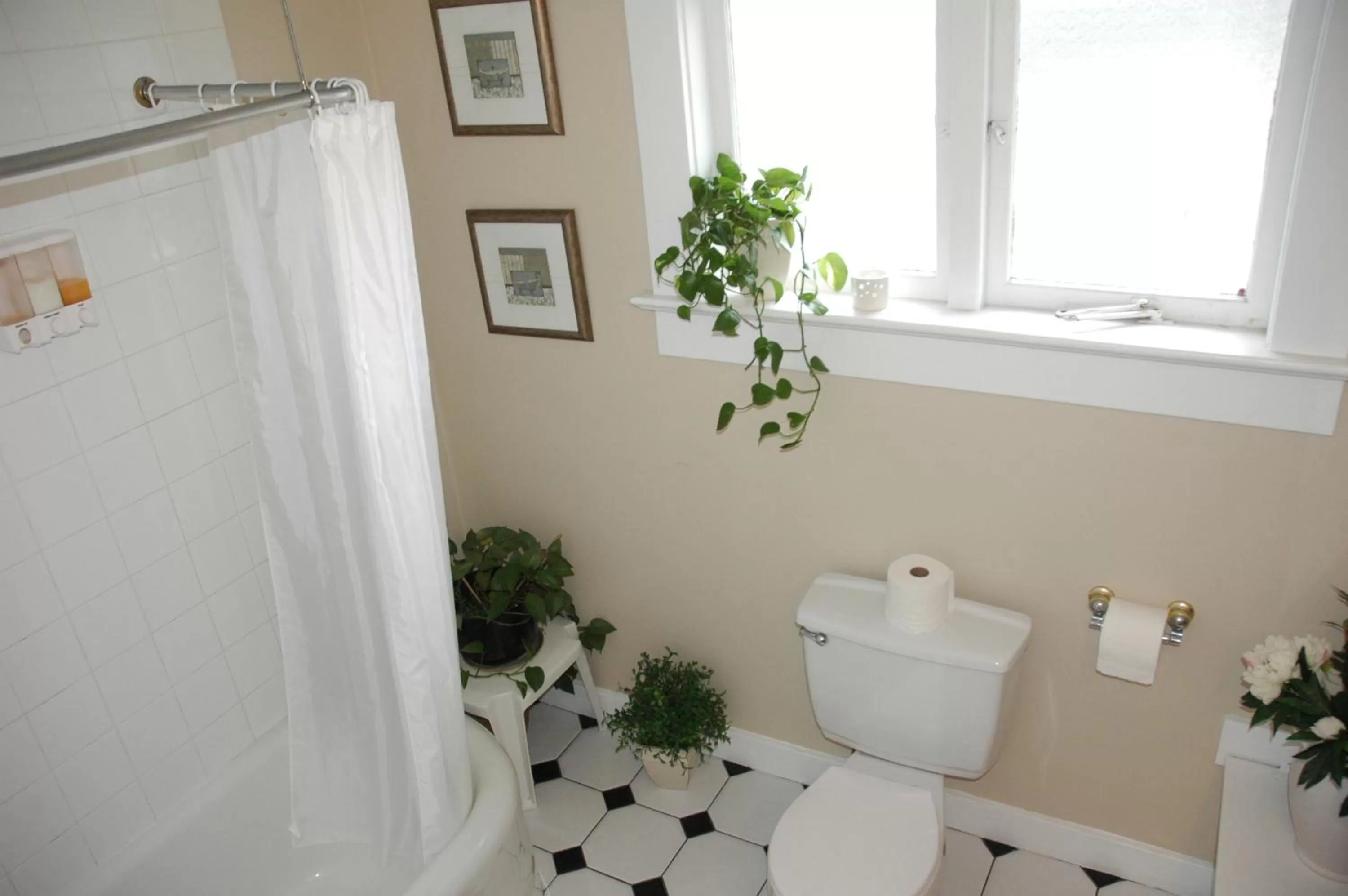 Bathroom in Windsor Guest House