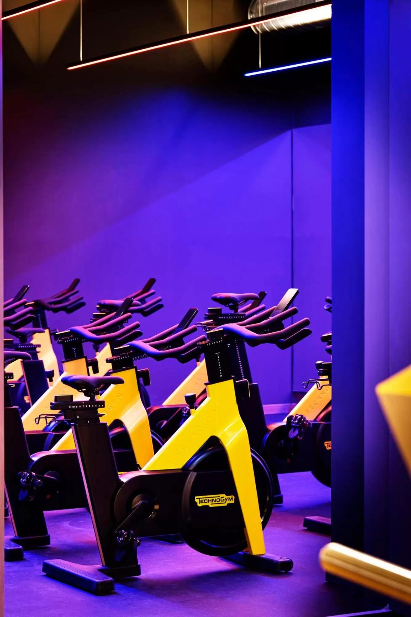 Fitness centre/facilities in Telegraphenamt