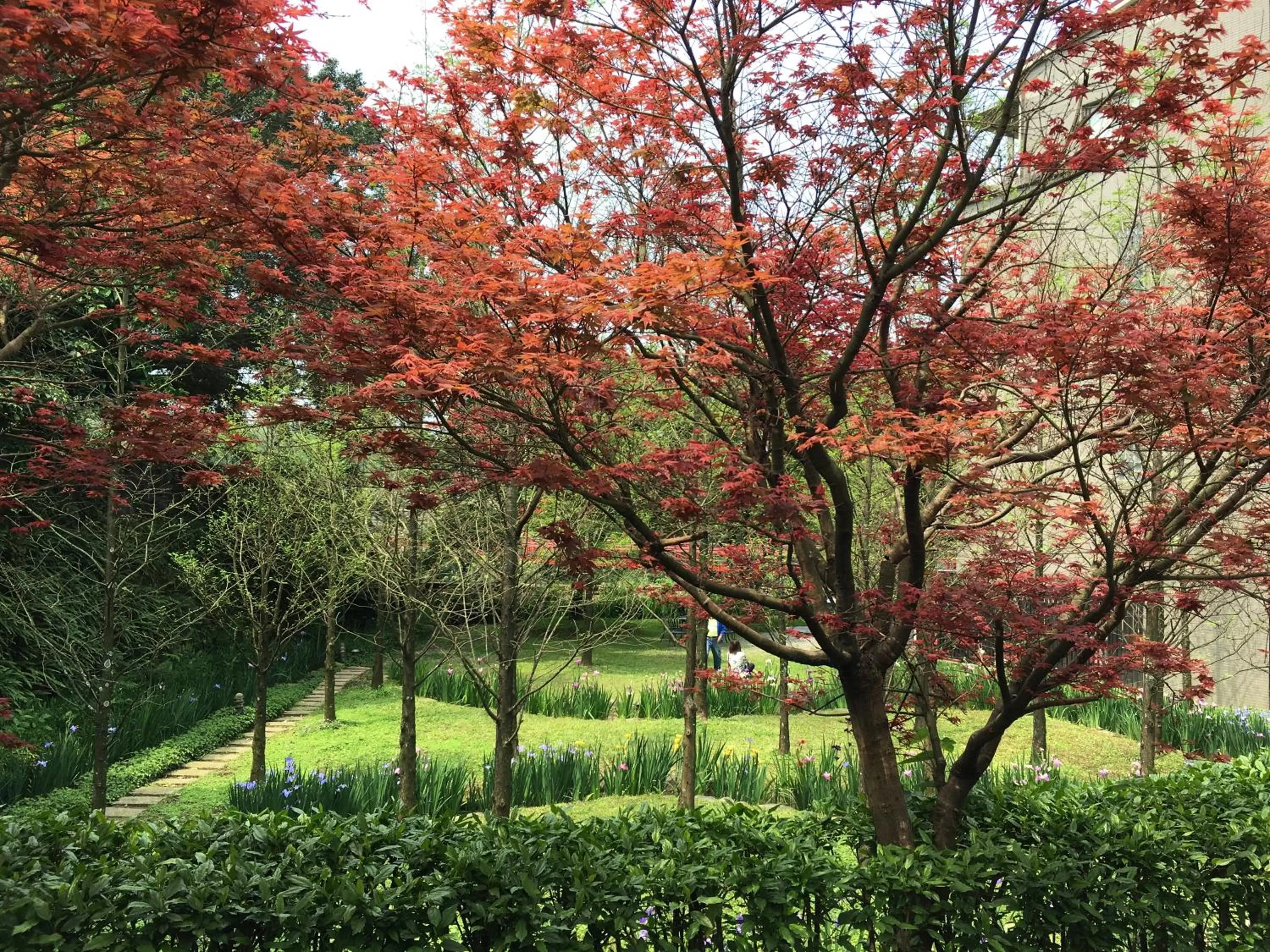 Natural Landscape in Rainbow Bridge B&B