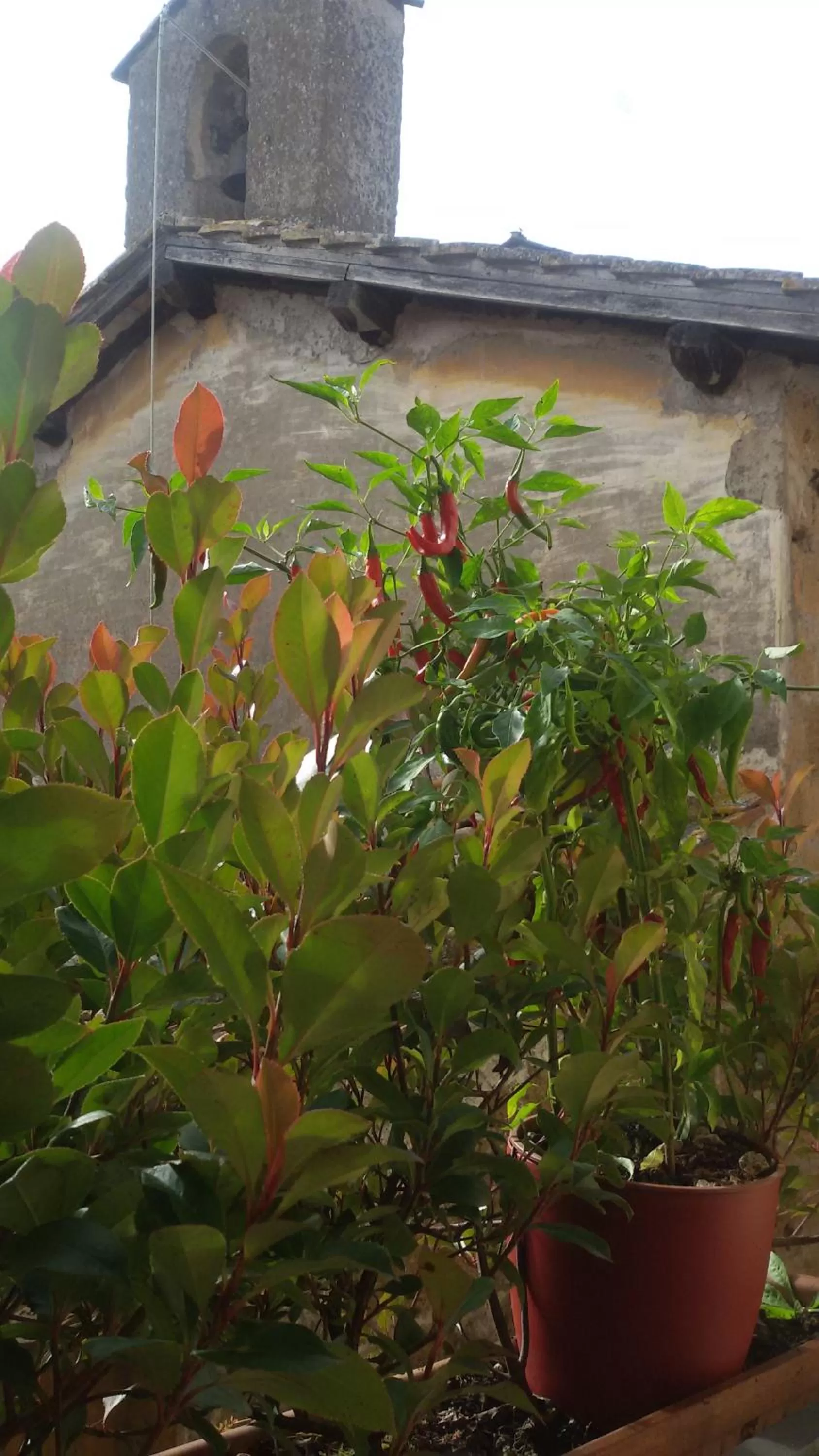 View (from property/room), Property Building in Nerone's - Sutri Bed & Dinner