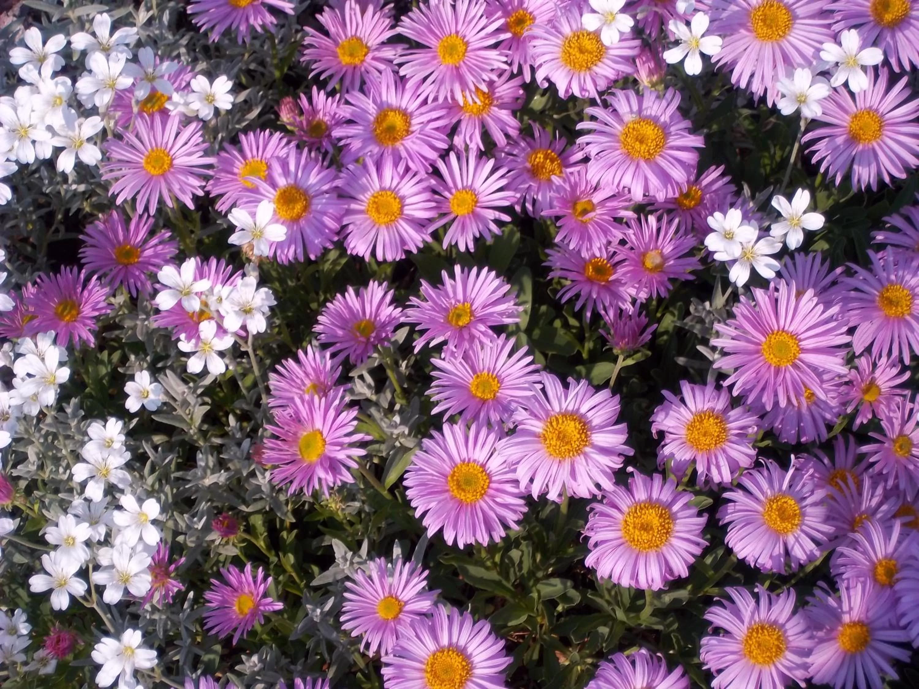 Property building in Hotel & Pension Aßmann