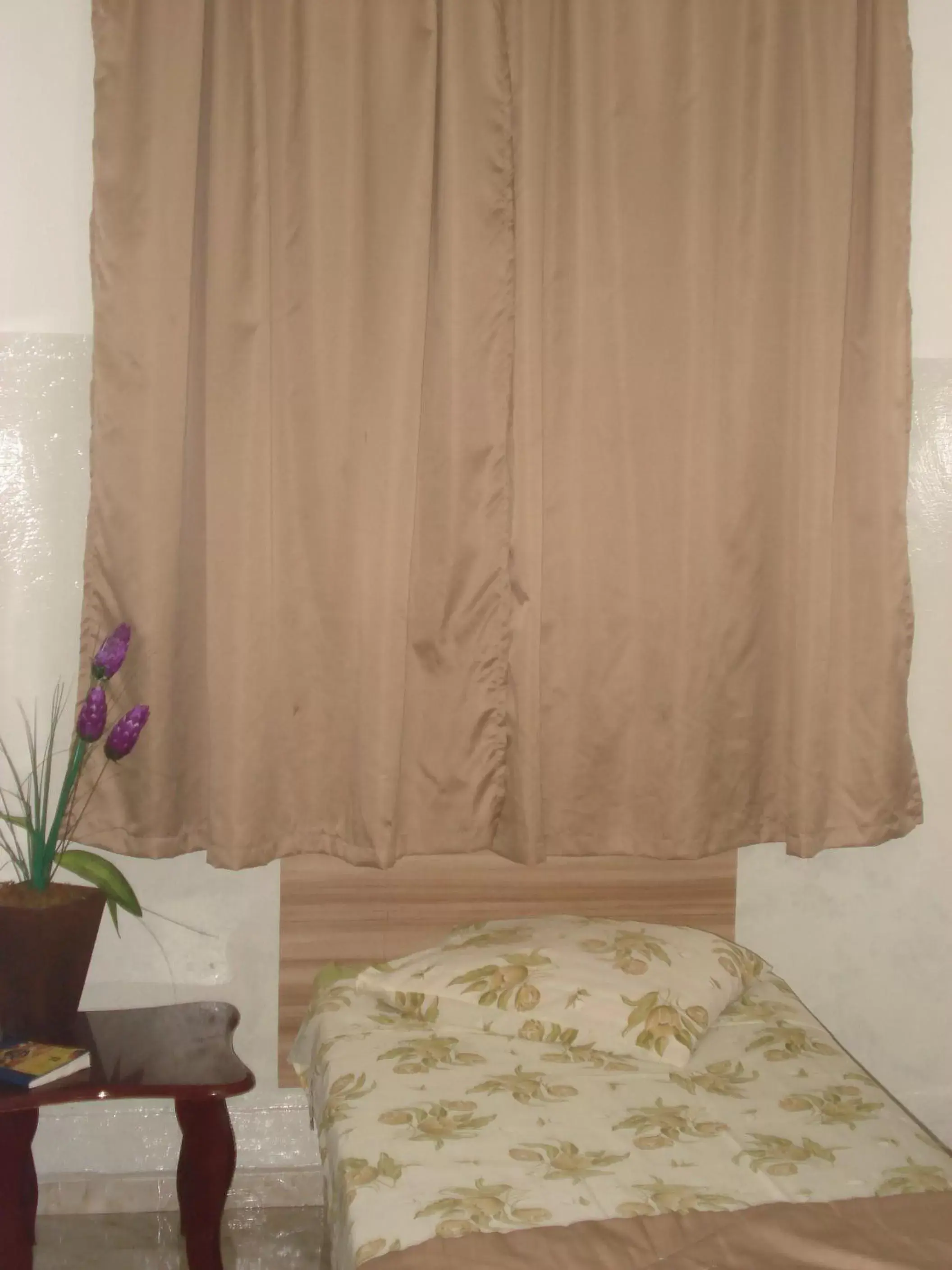 Single Room with Shared Bathroom in Hotel Cadore Single Room with Shared Bathroom in Hotel Cadore