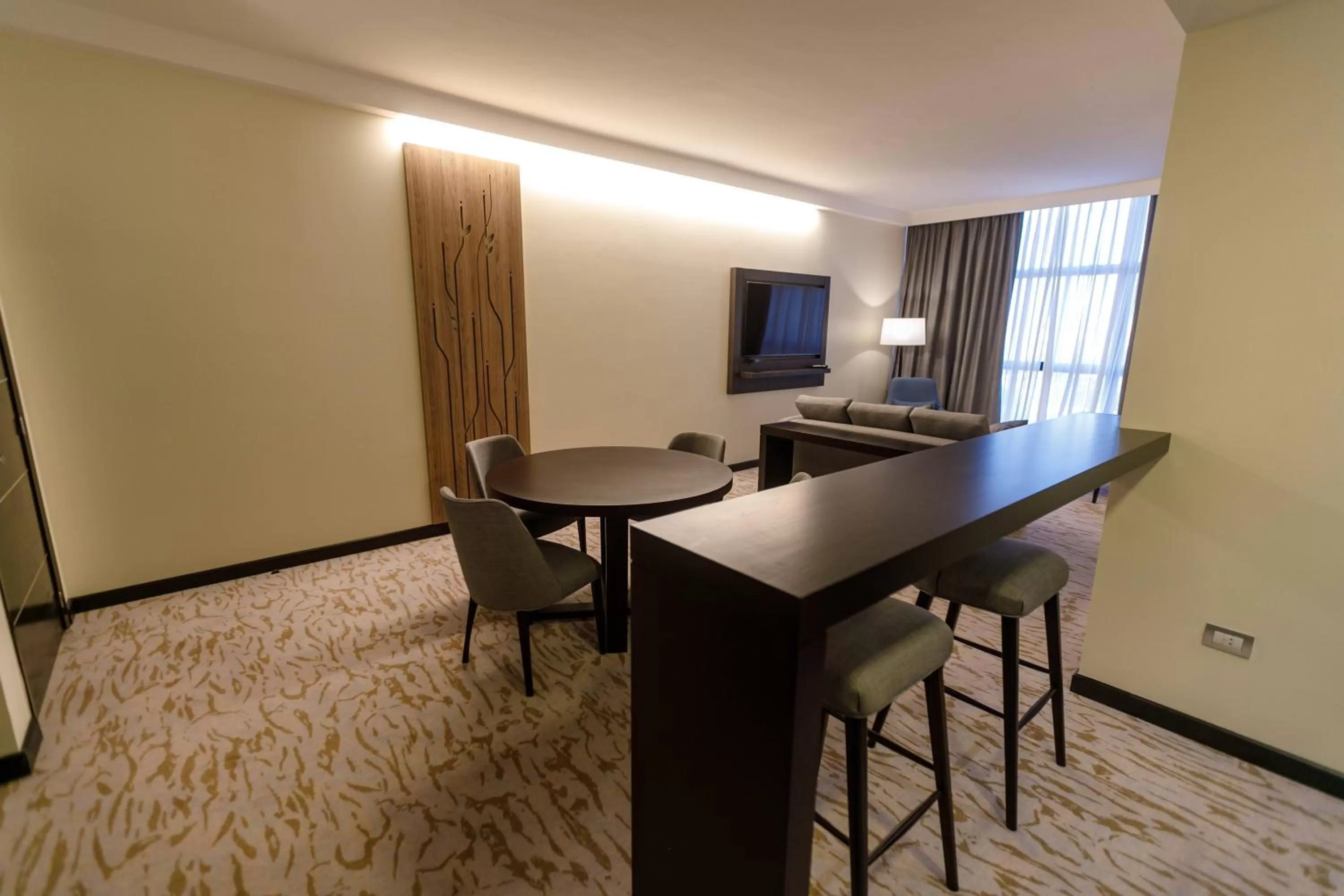 TV and multimedia in Hilton Garden Inn Santiago Del Estero - HILTON HOTELS