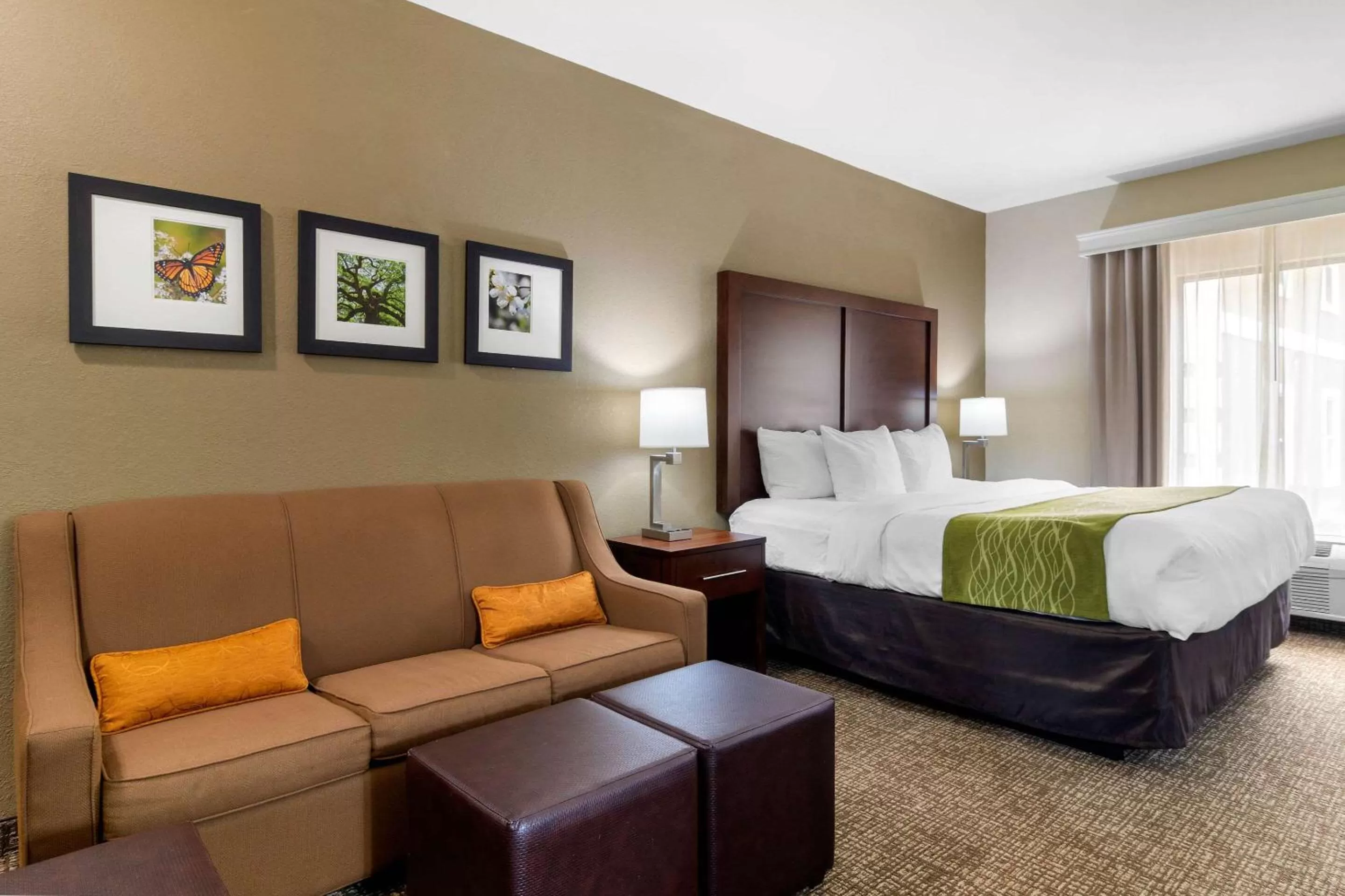 Photo of the whole room, Bed in Comfort Inn & Suites Griffin North