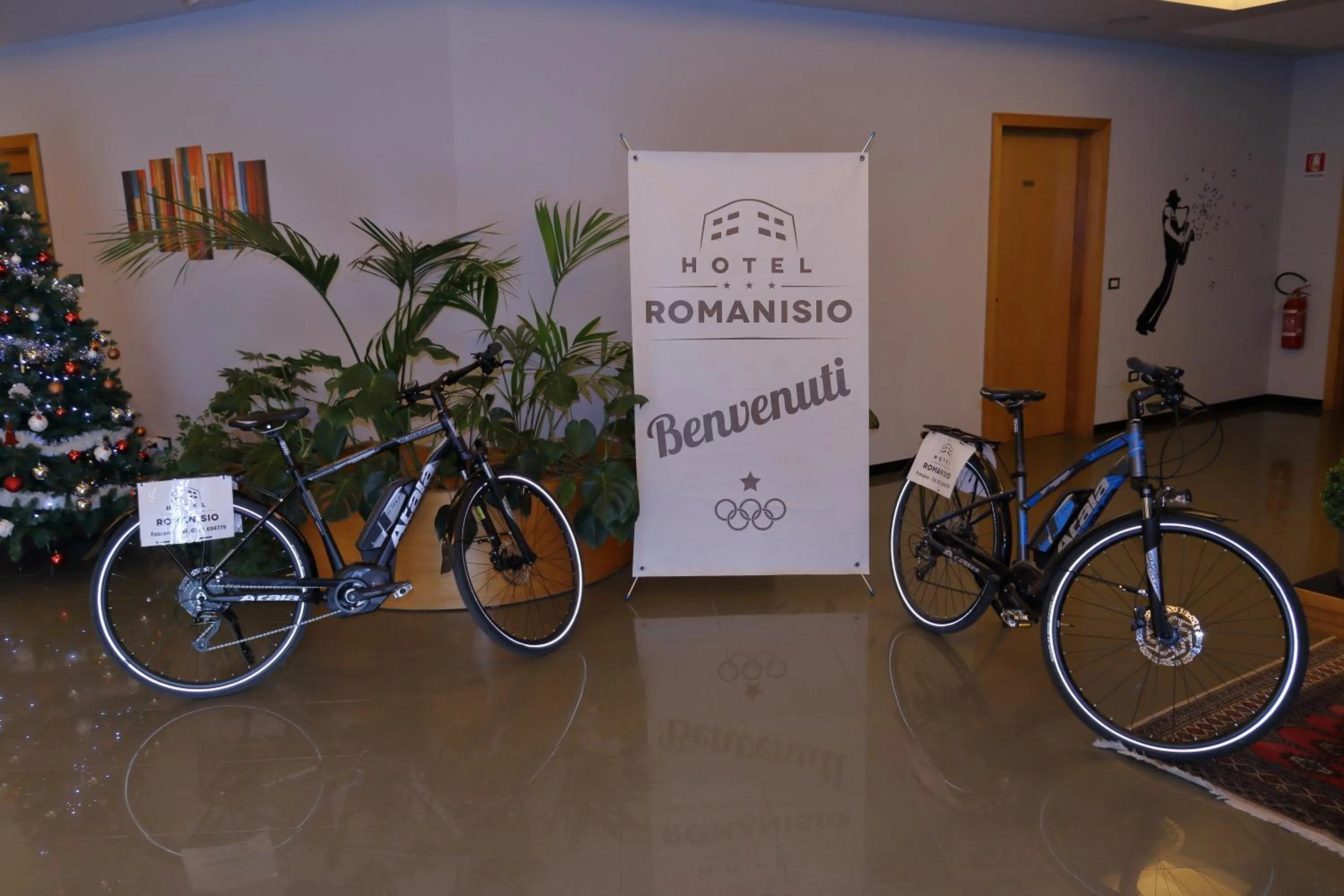 Hotel Romanisio