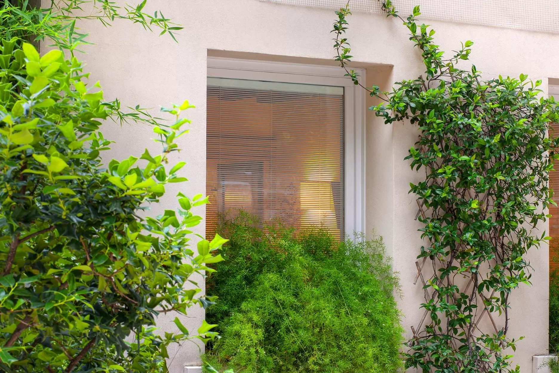 Photo of the whole room in Albergo Al Moretto