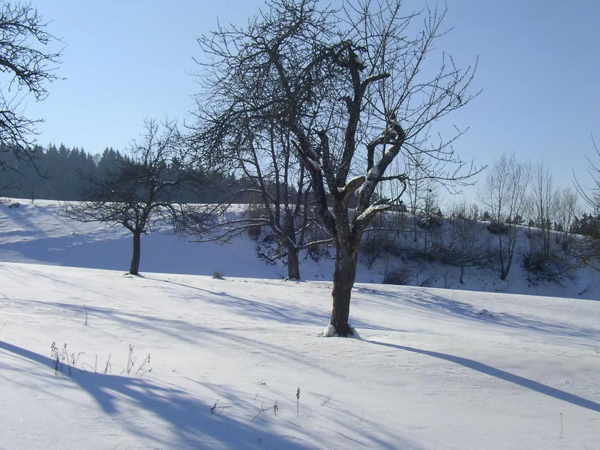 Neighbourhood in Das Allgäu