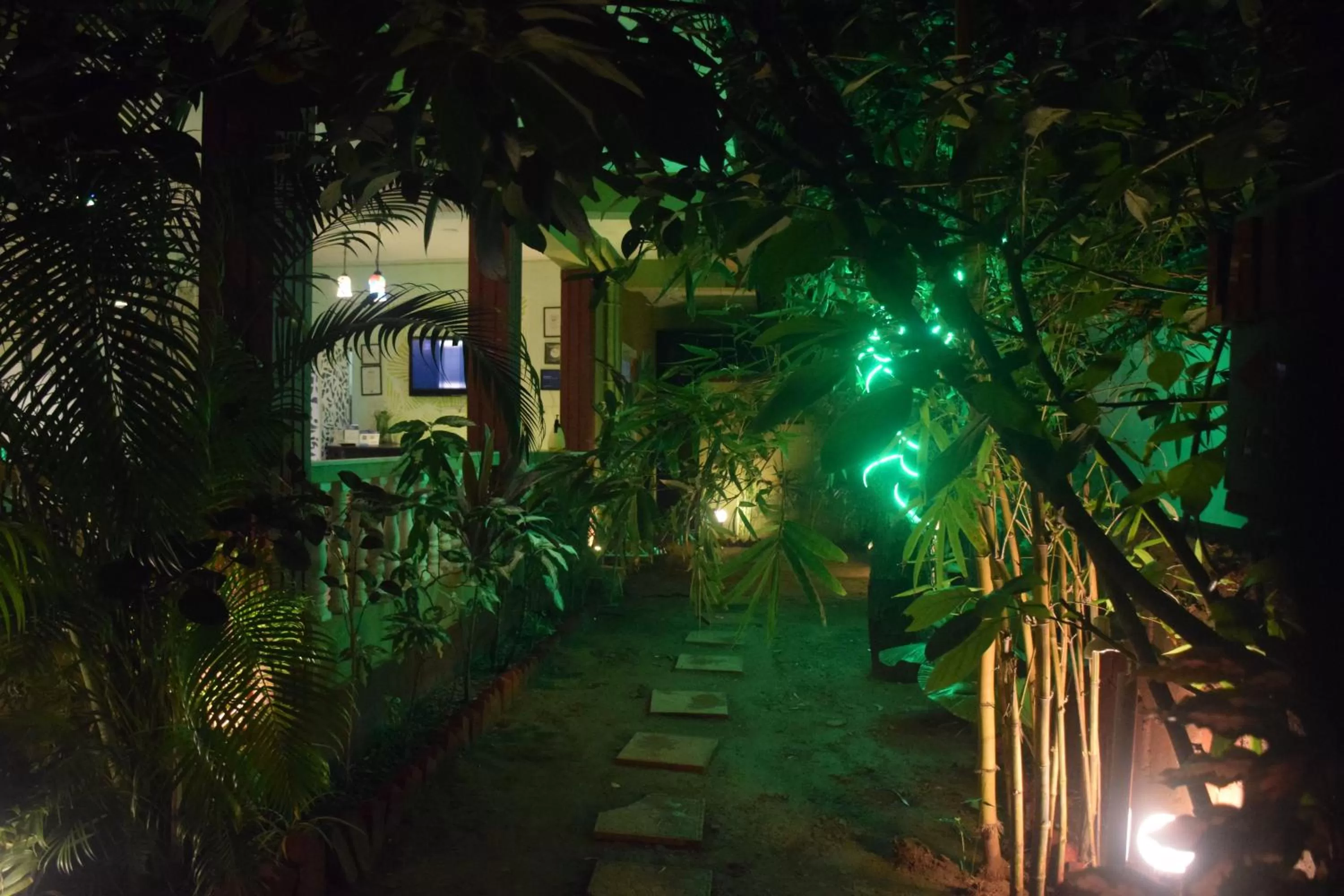 Night in LaligurasVilla Beachside Escape - 100m to Beach