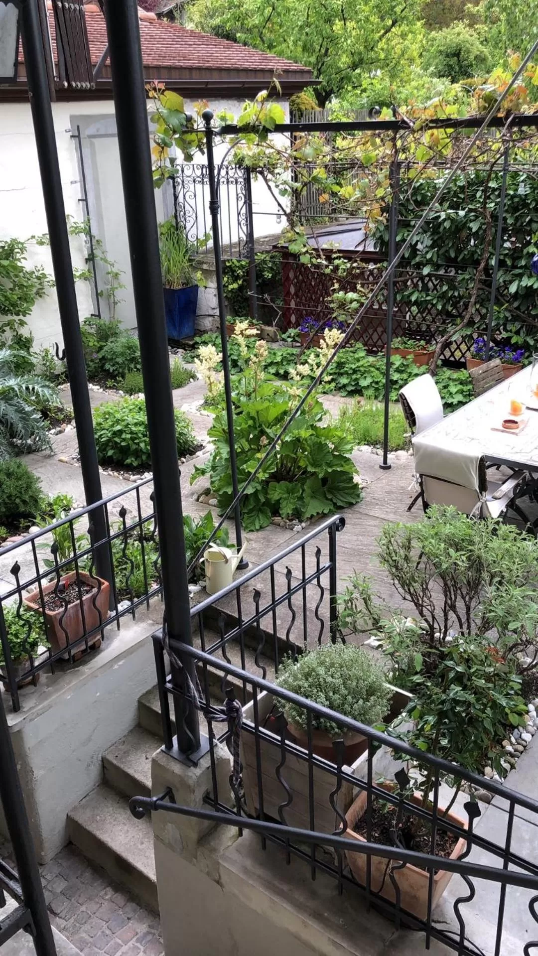 Garden in Good4Yew BnB