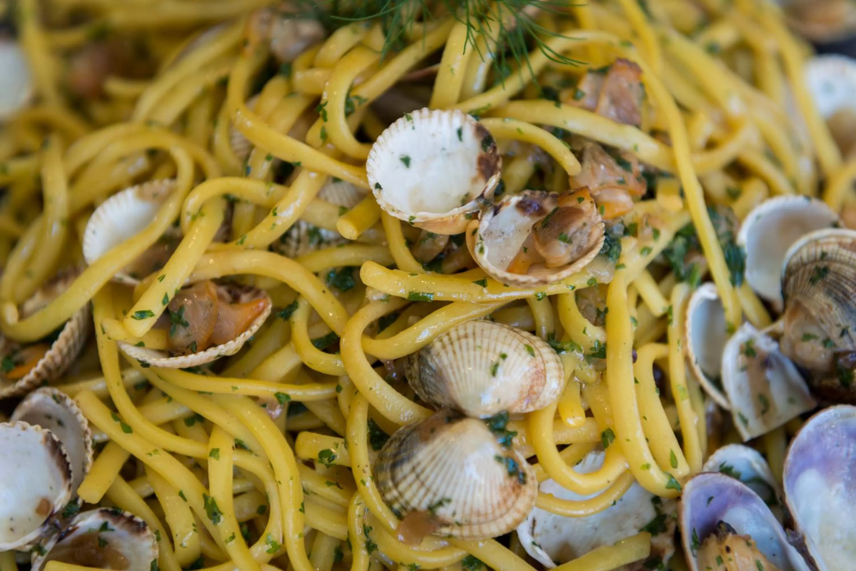 Restaurant/places to eat in Hôtel Aux Vieux Remparts