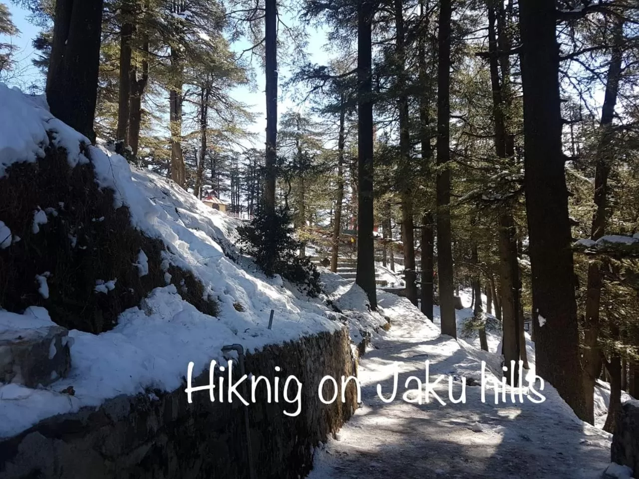 Nearby landmark in Sai Cottage Shimla