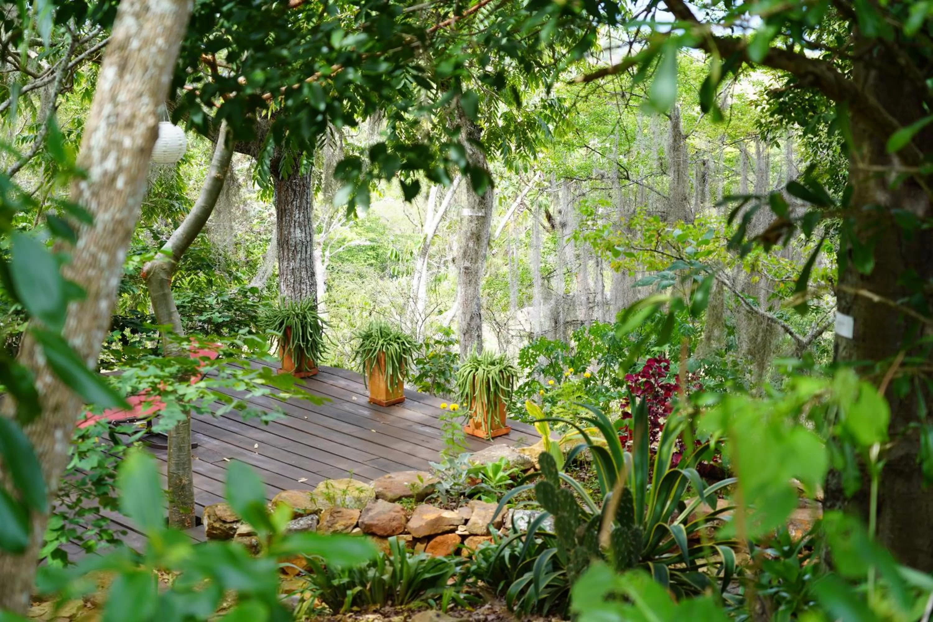 Garden in Posada Finca San Vicente B&B