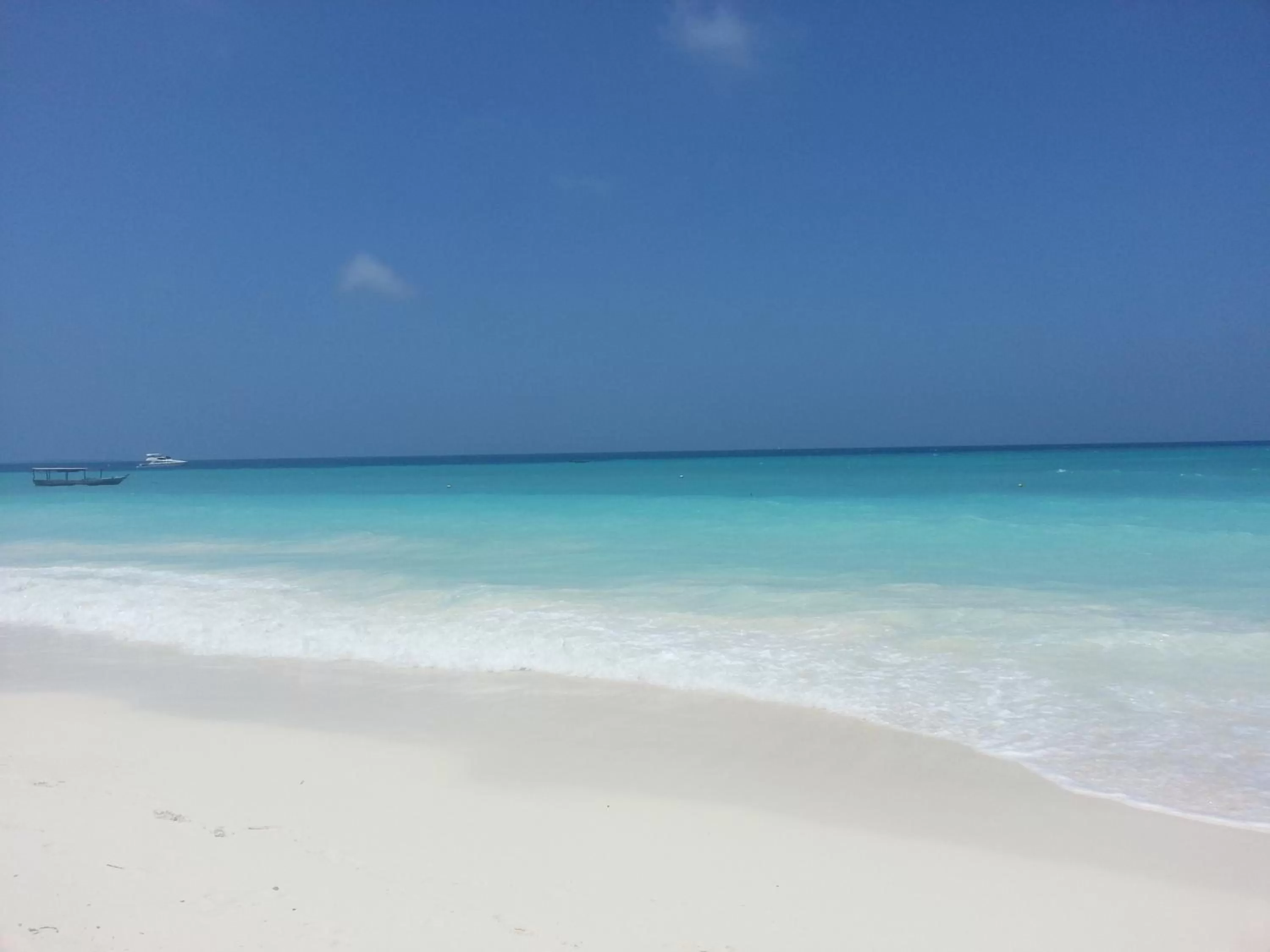 Summer, Beach in Ebony & Ivory Beach Bungalows