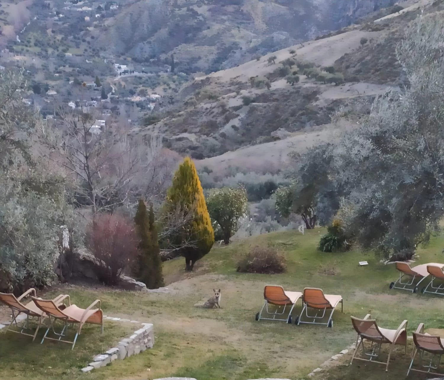 Garden in La Almunia del Valle